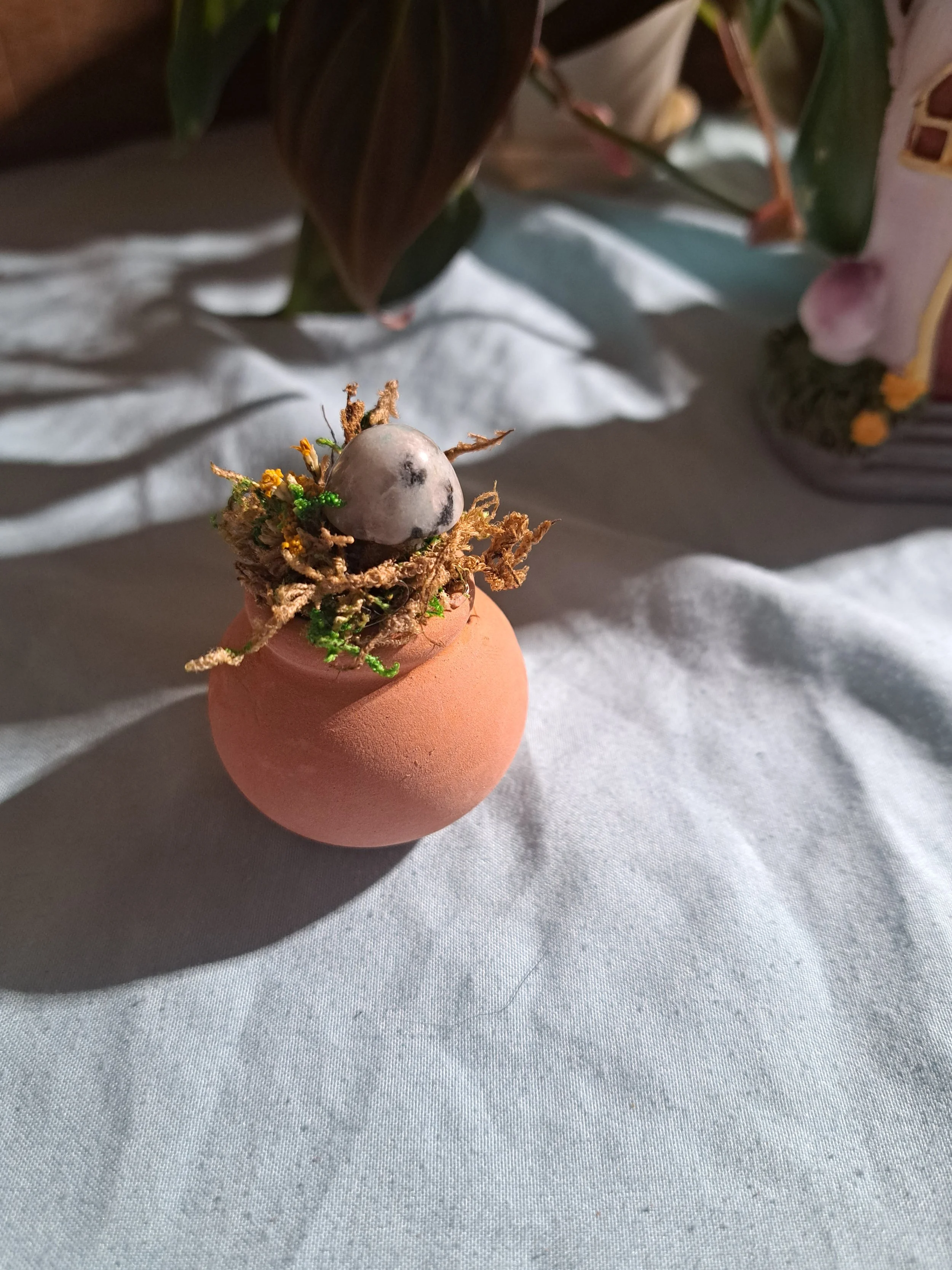 Miniature Terra Cotta Fairy Garden