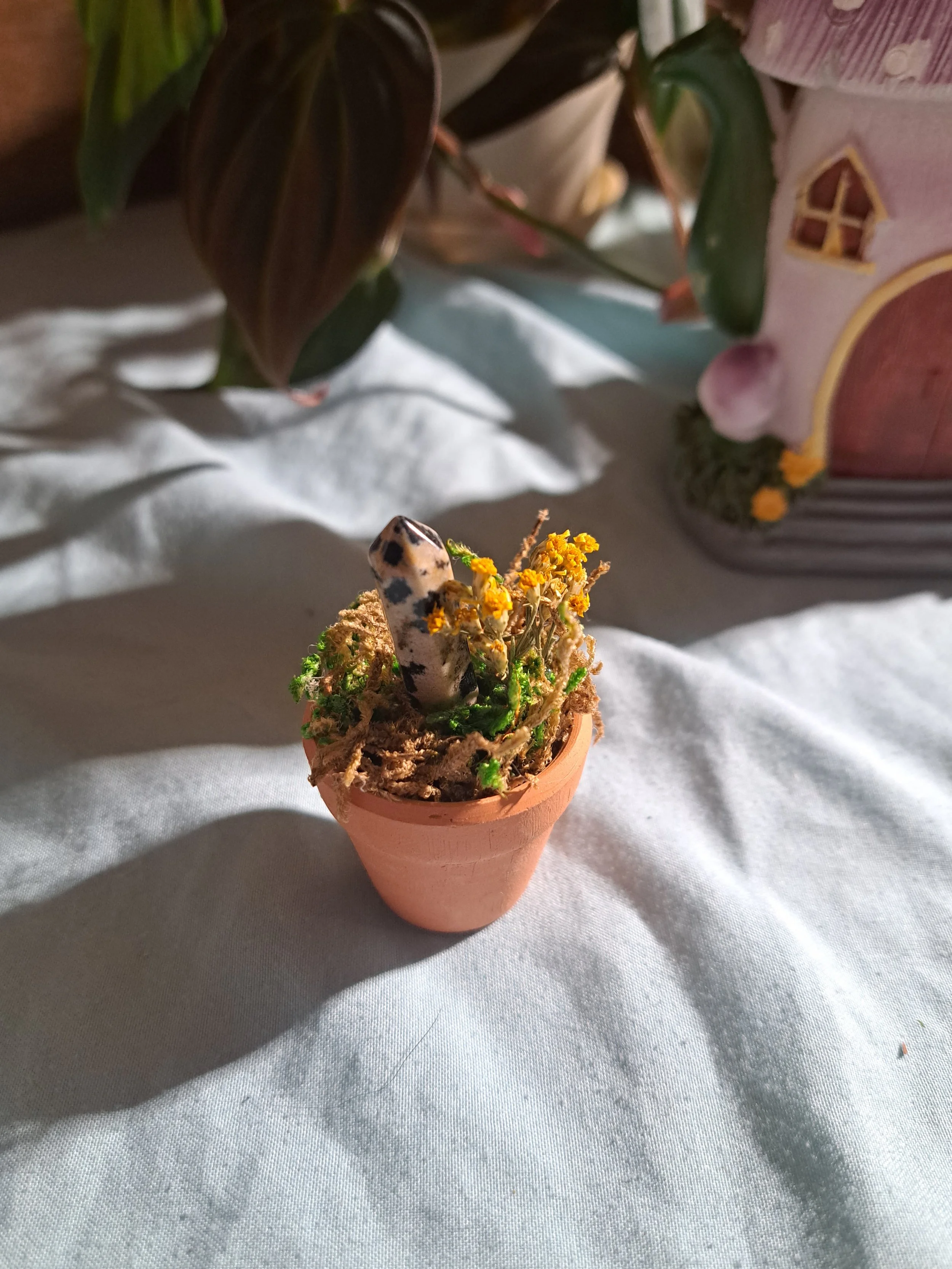 Miniature Terra Cotta Fairy Garden