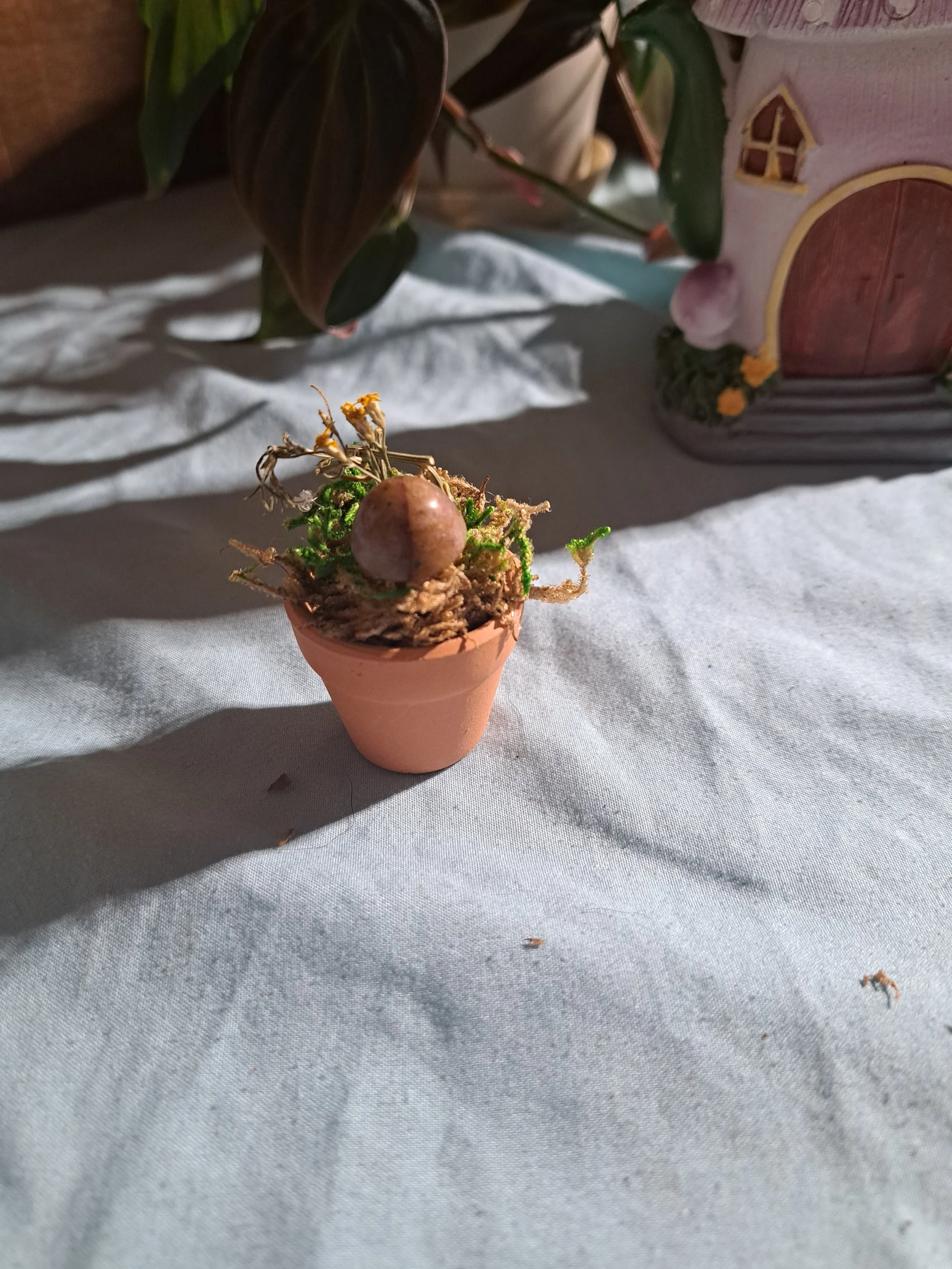 Miniature Terra Cotta Fairy Garden