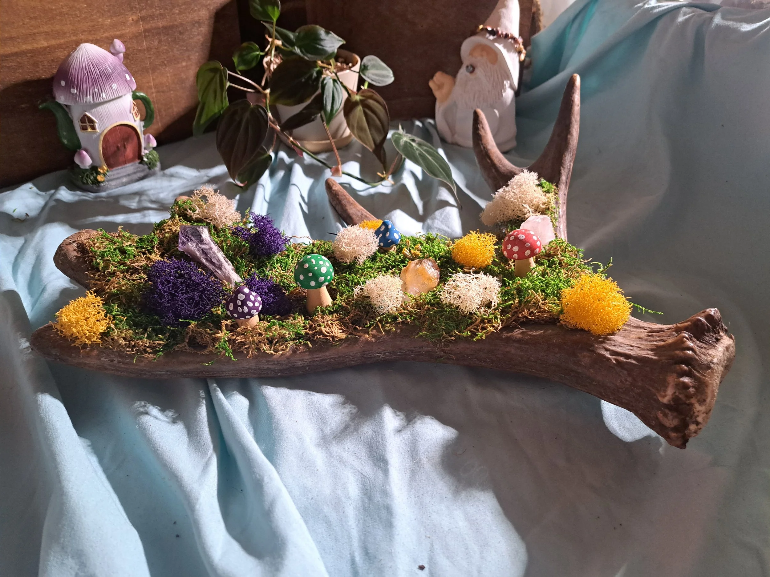 Moose Antler Fairy Garden