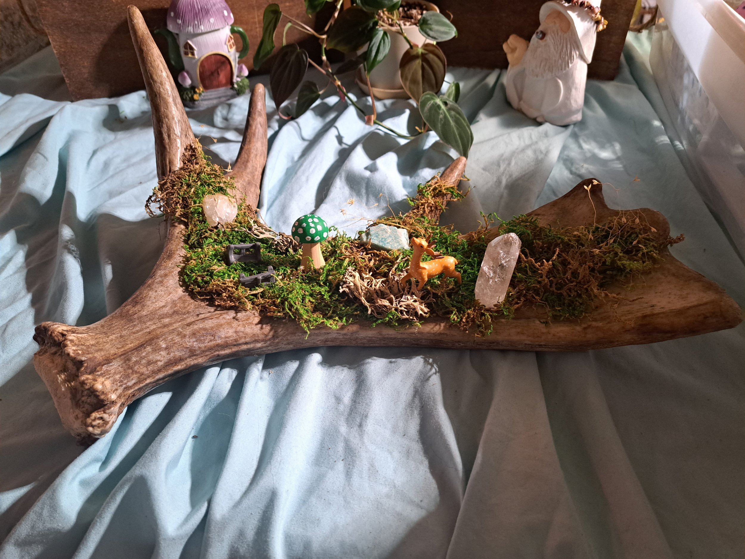 Moose Antler Fairy Garden