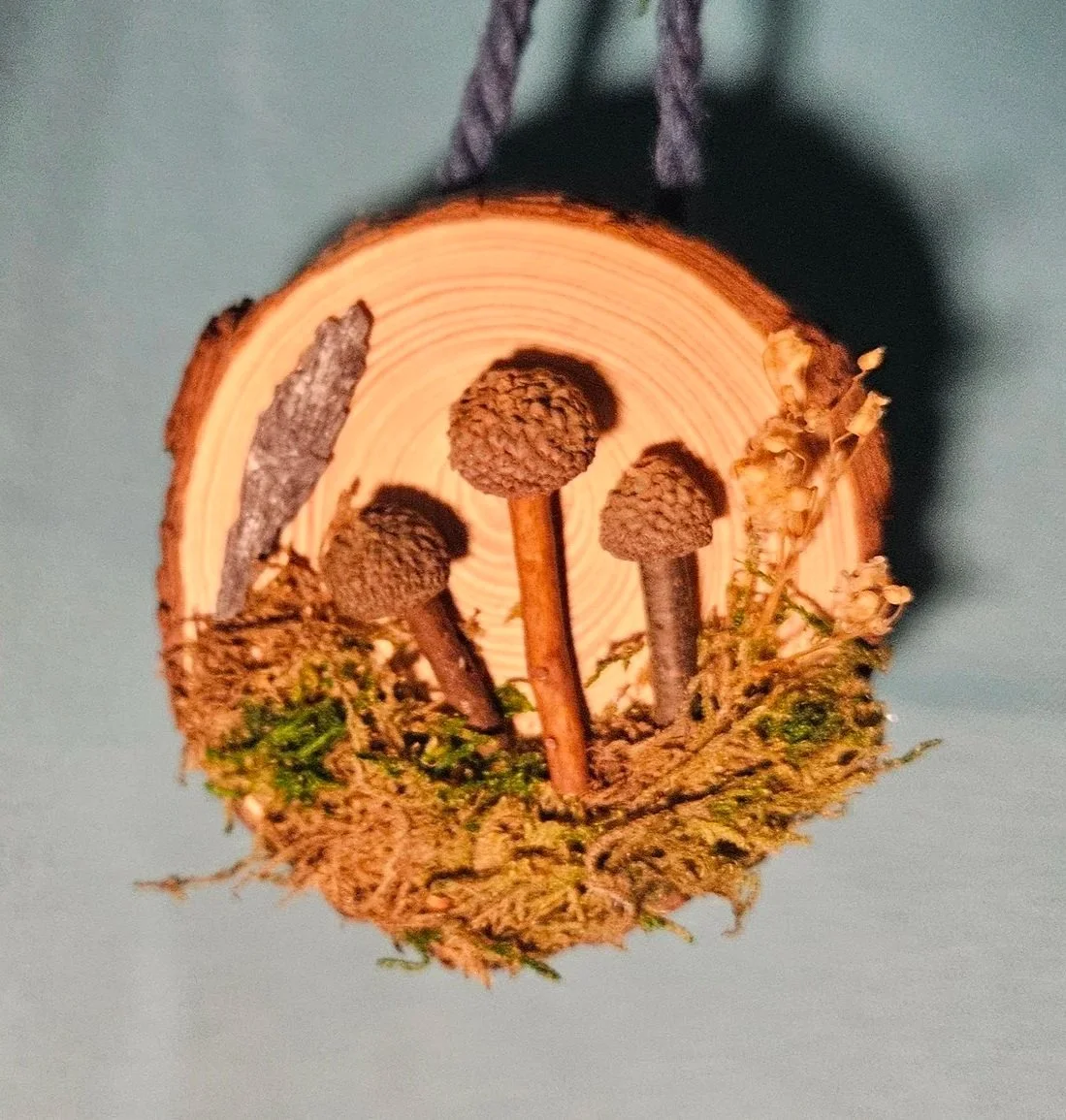 Wood Slice Nature Scene Hanging