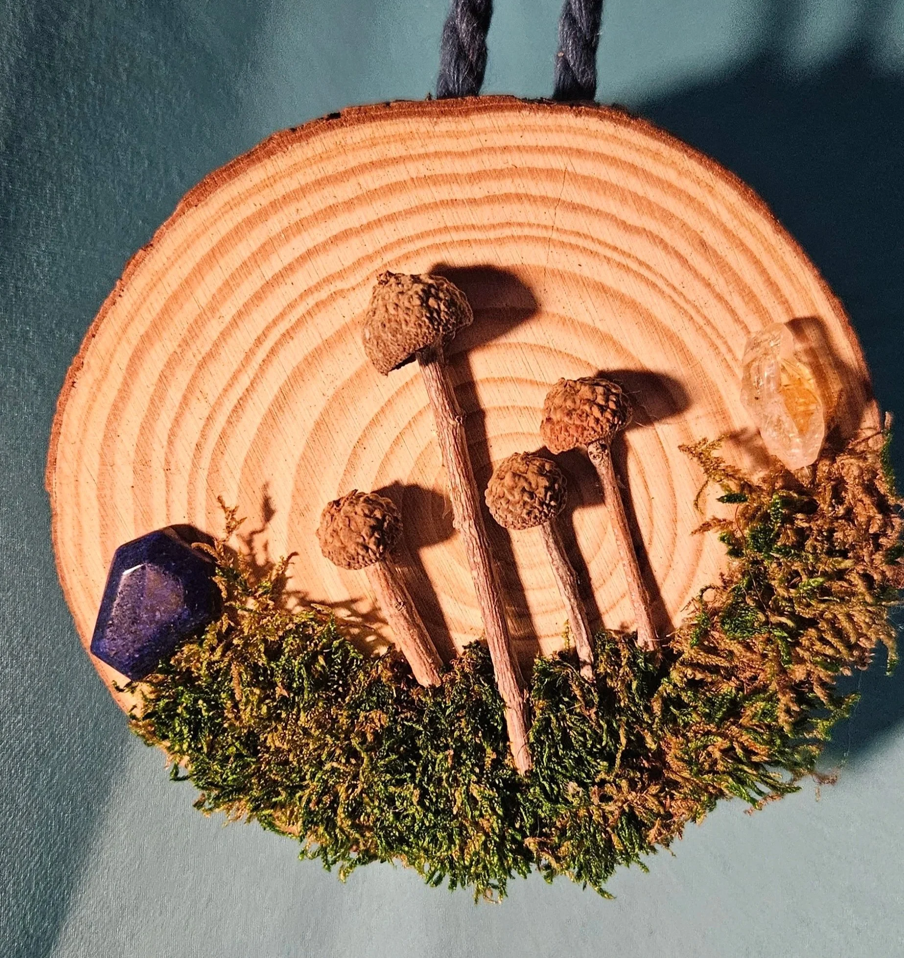 Wood Slice Nature Scene Hanging