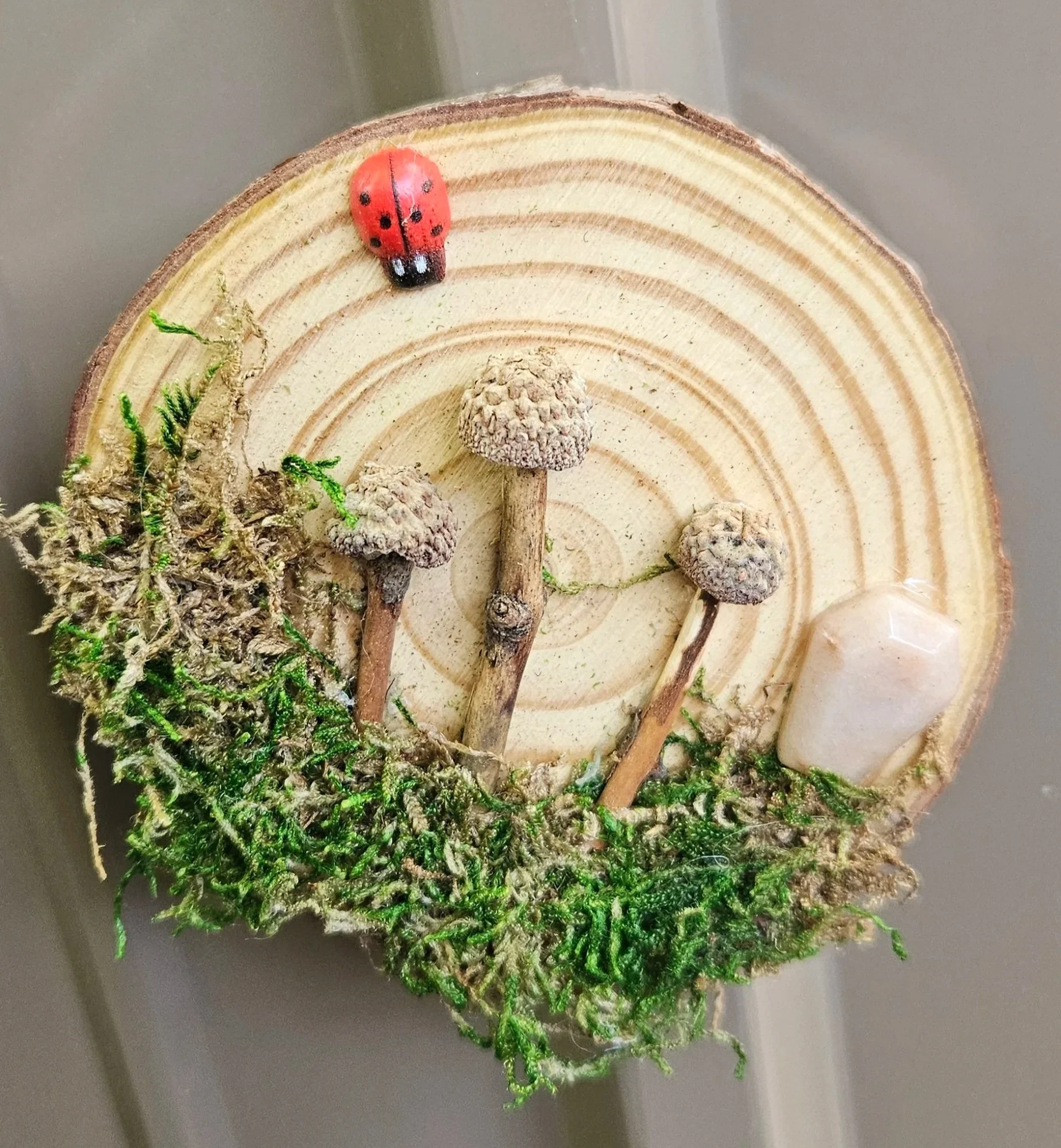 Nature Scene Wood Slice Magnet