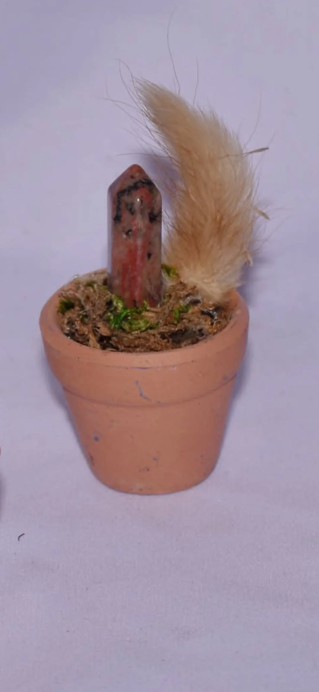 Tiny Terra Cotta Fairy Garden