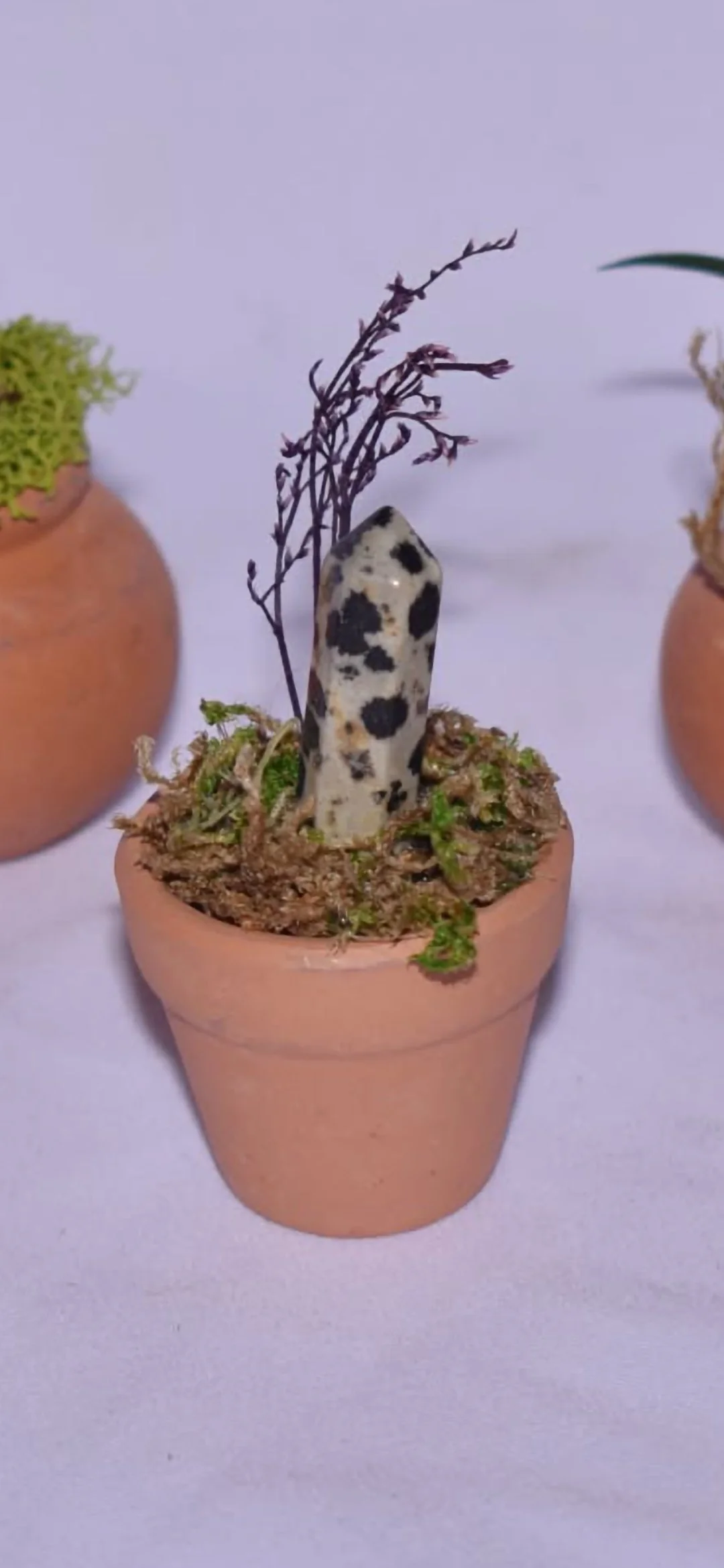 Tiny Terra Cotta Fairy Garden