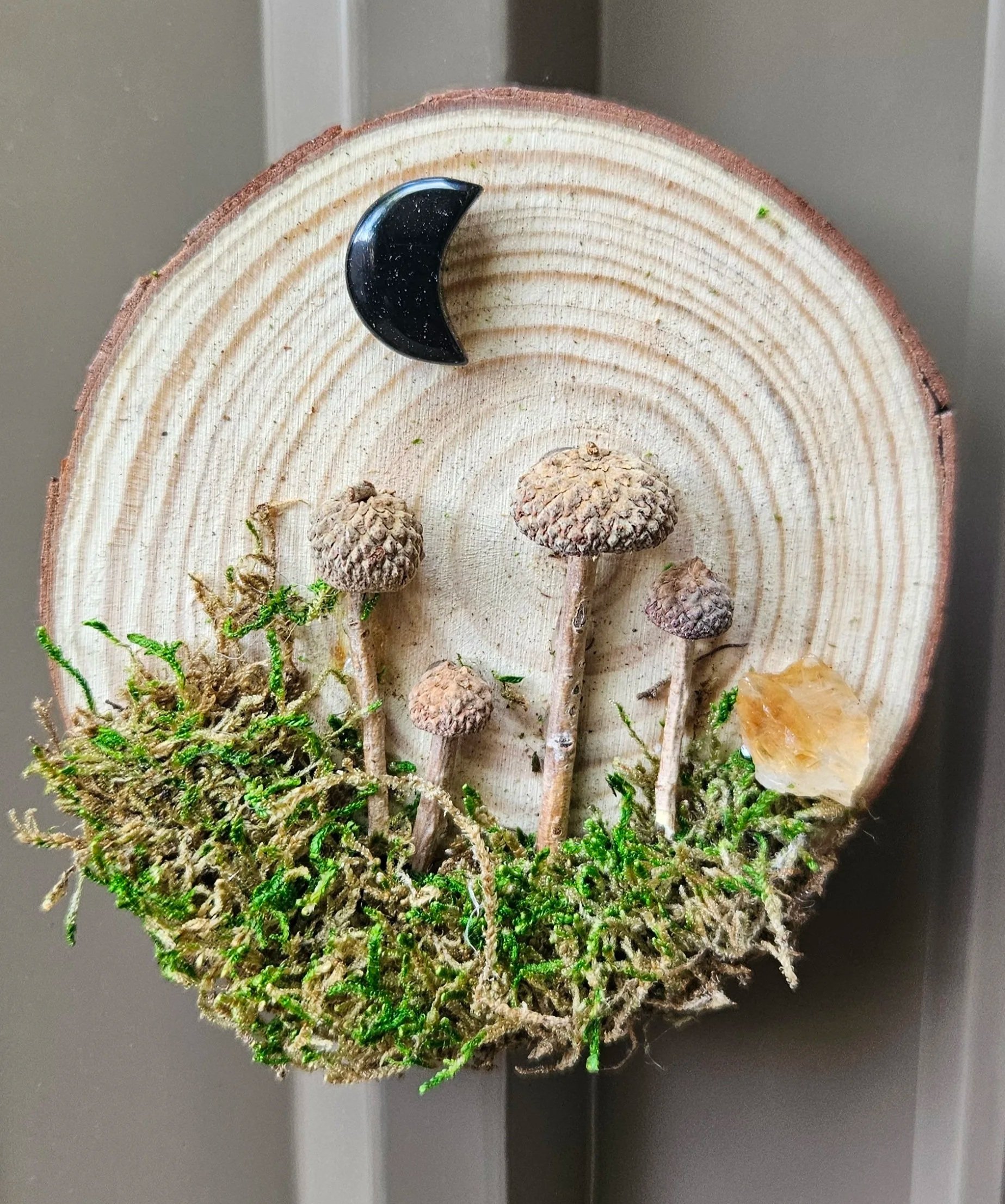 Nature Scene Wood Slice Magnet