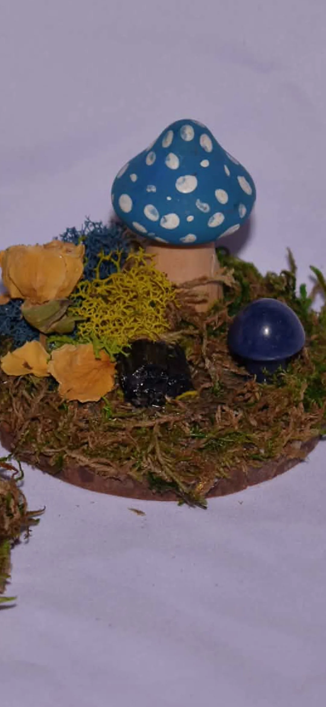 Wood Slice Fairy Garden