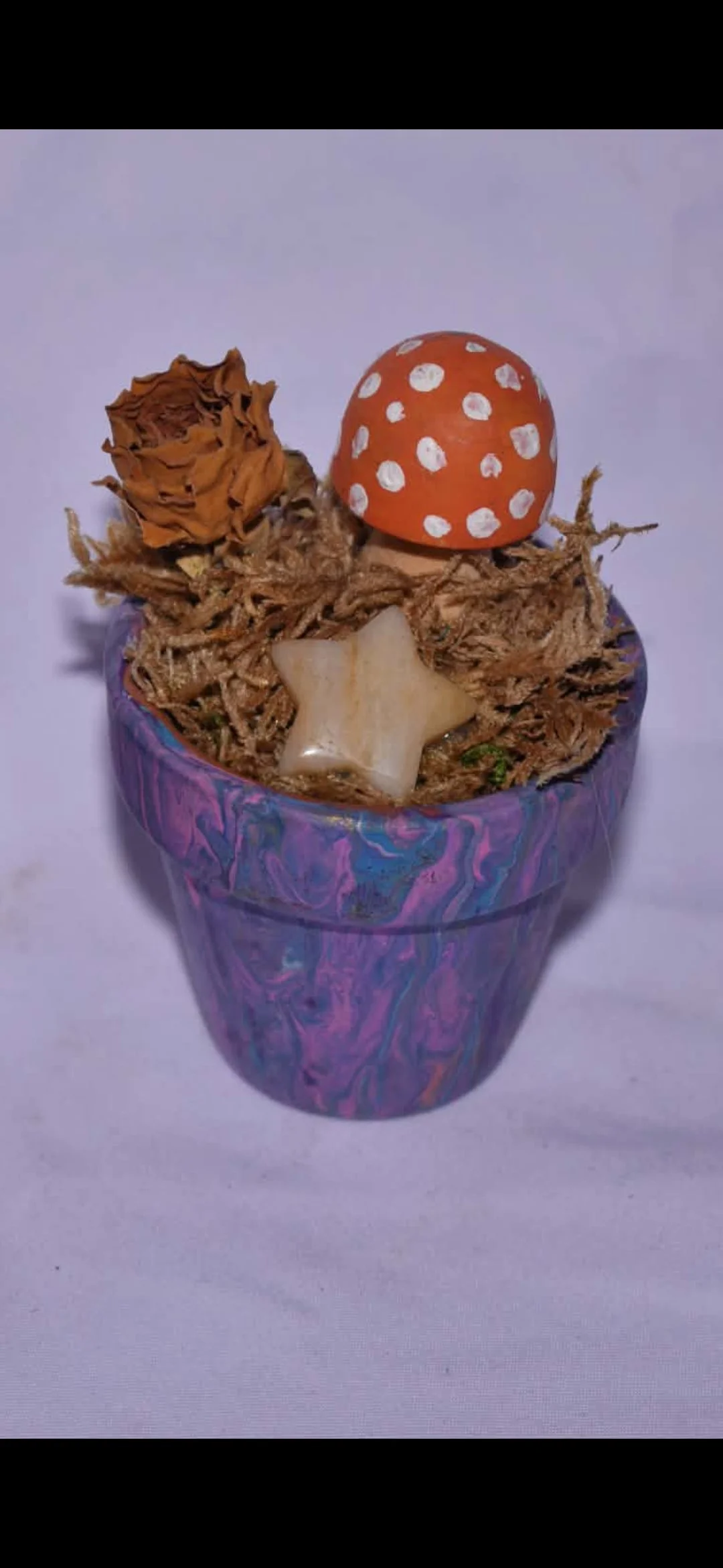 Terra Cotta Pot Fairy Garden
