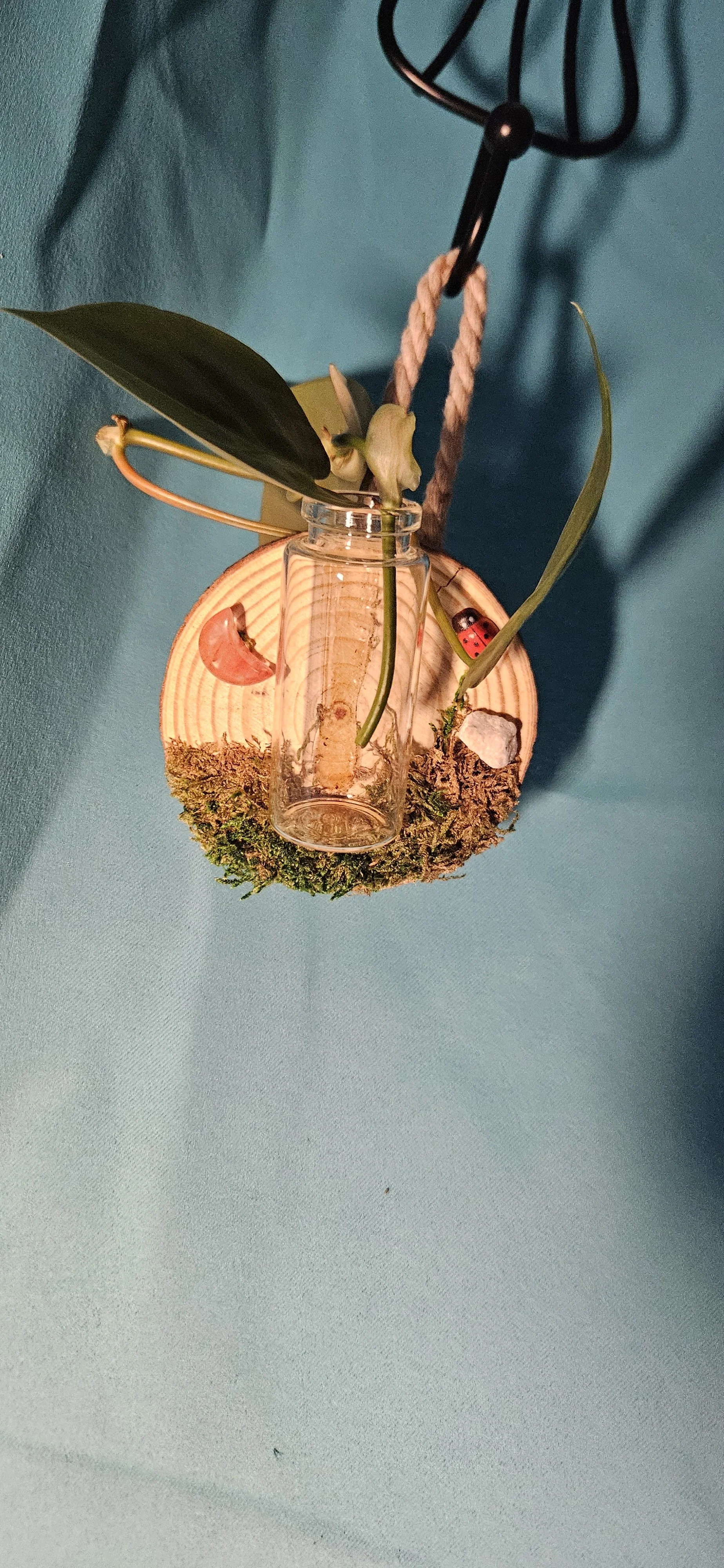 Prop Bottle Hanging Decor