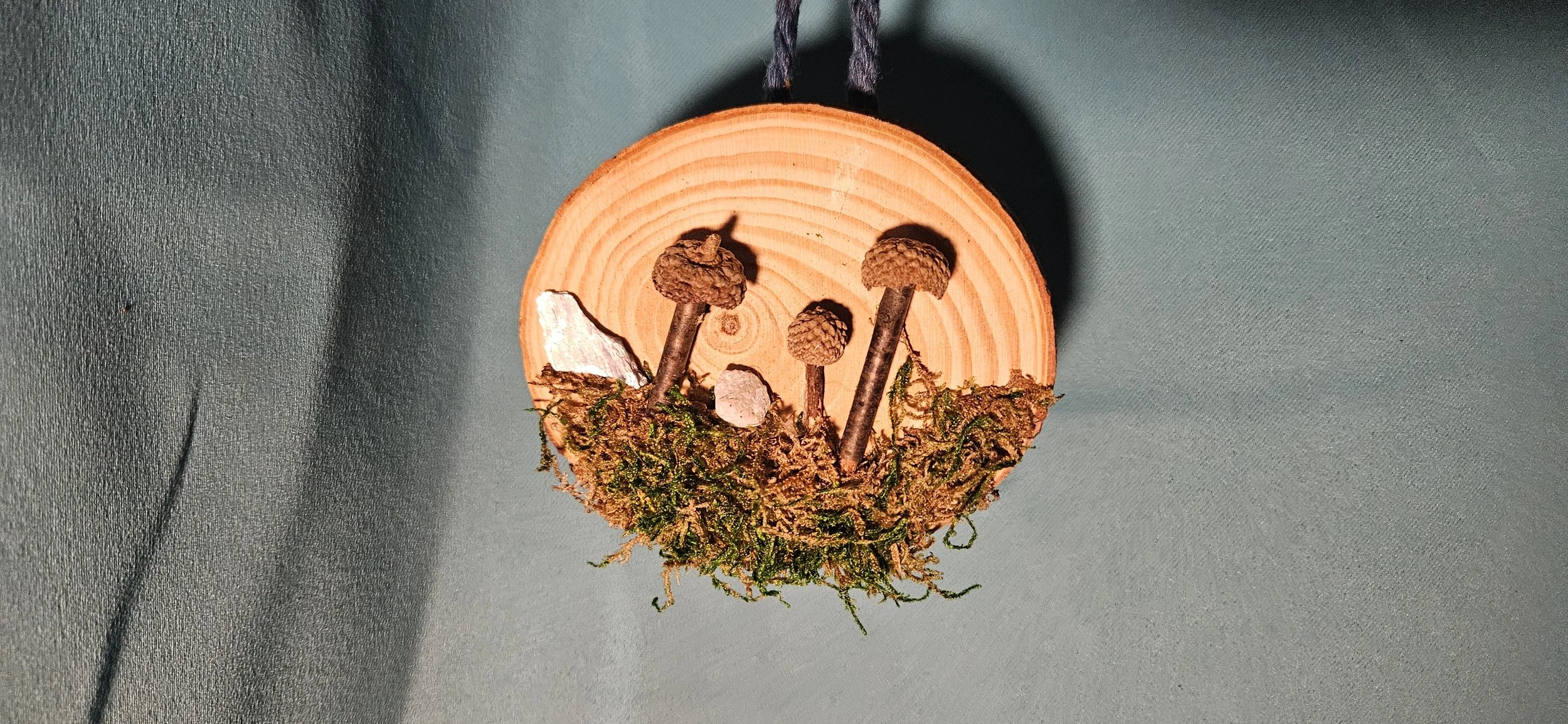 Wood Slice Nature Scene Hanging