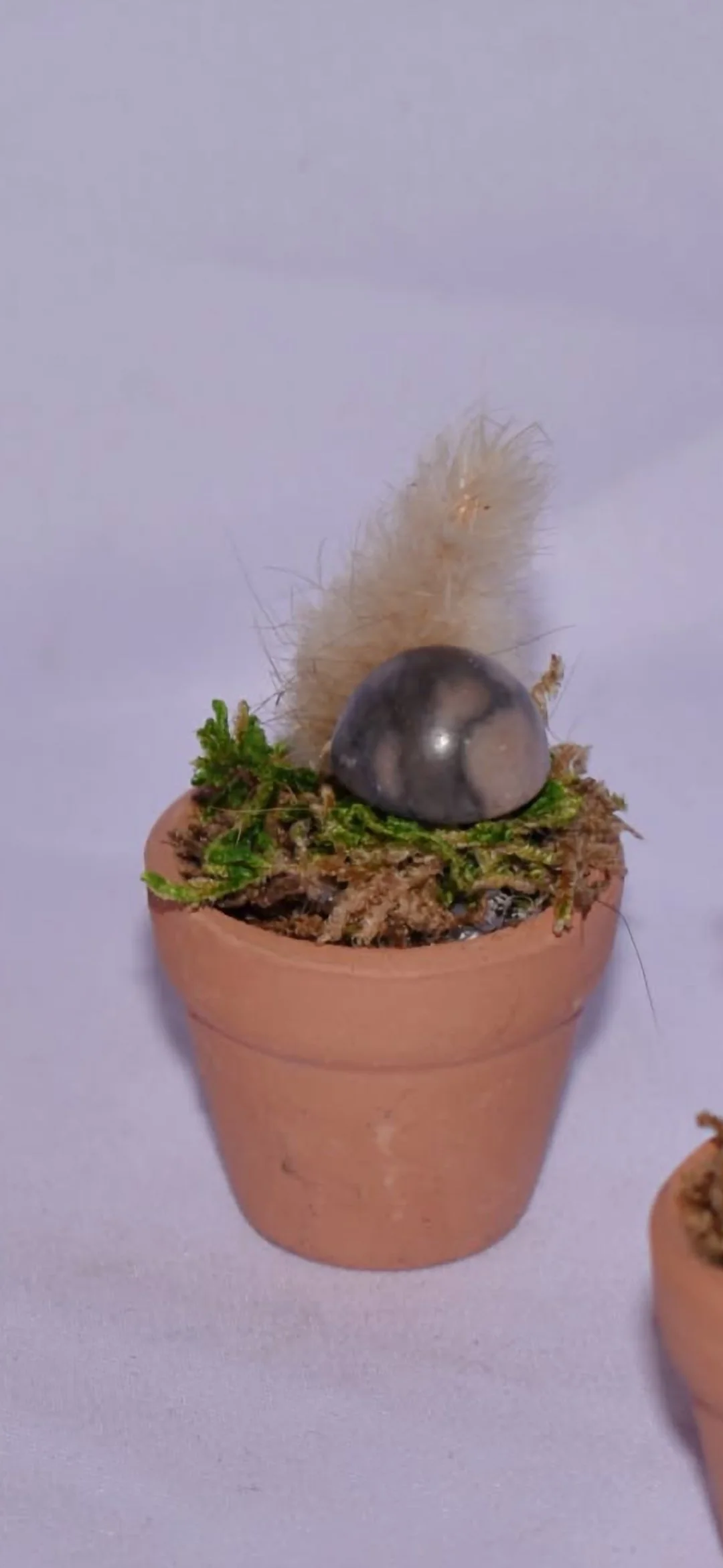 Tiny Terra Cotta Fairy Garden