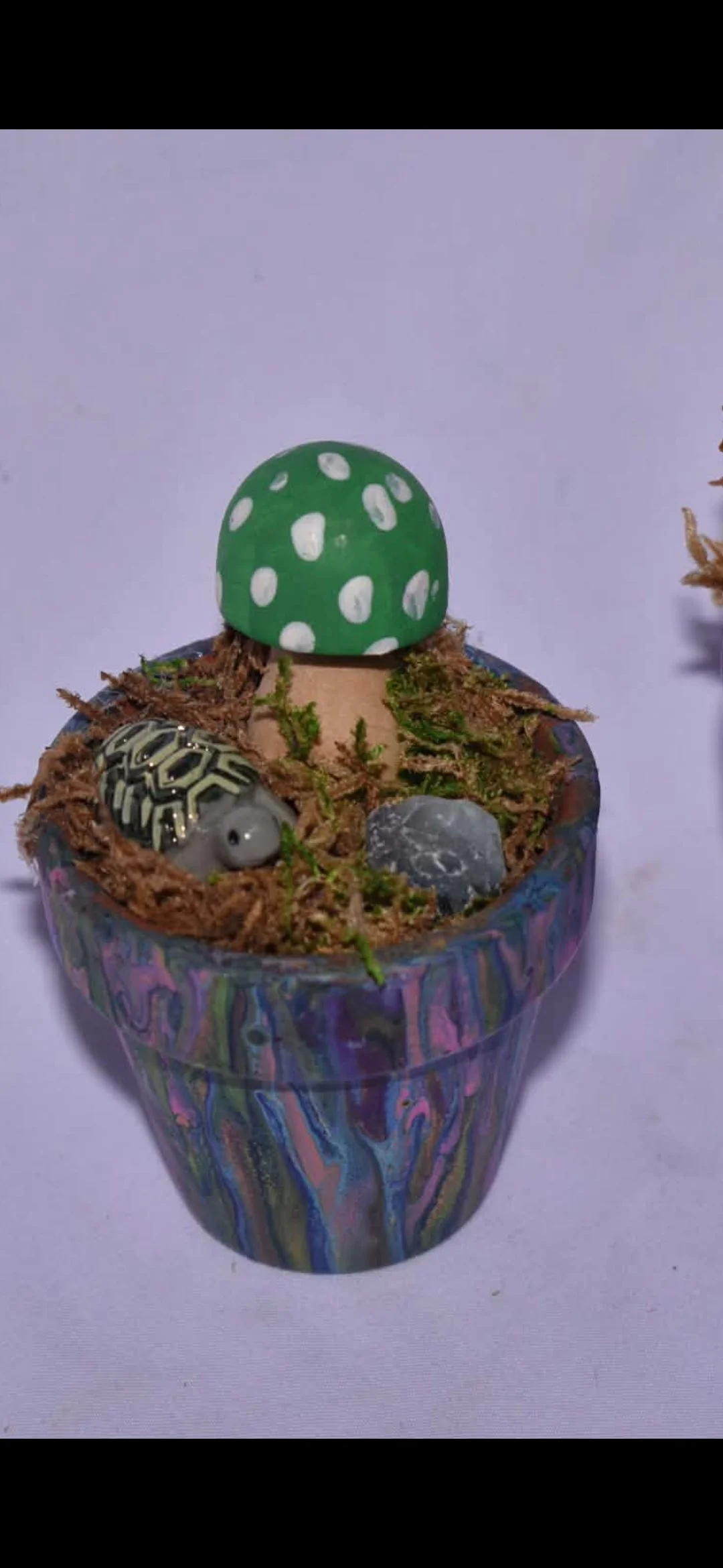 Terra Cotta Pot Fairy Garden