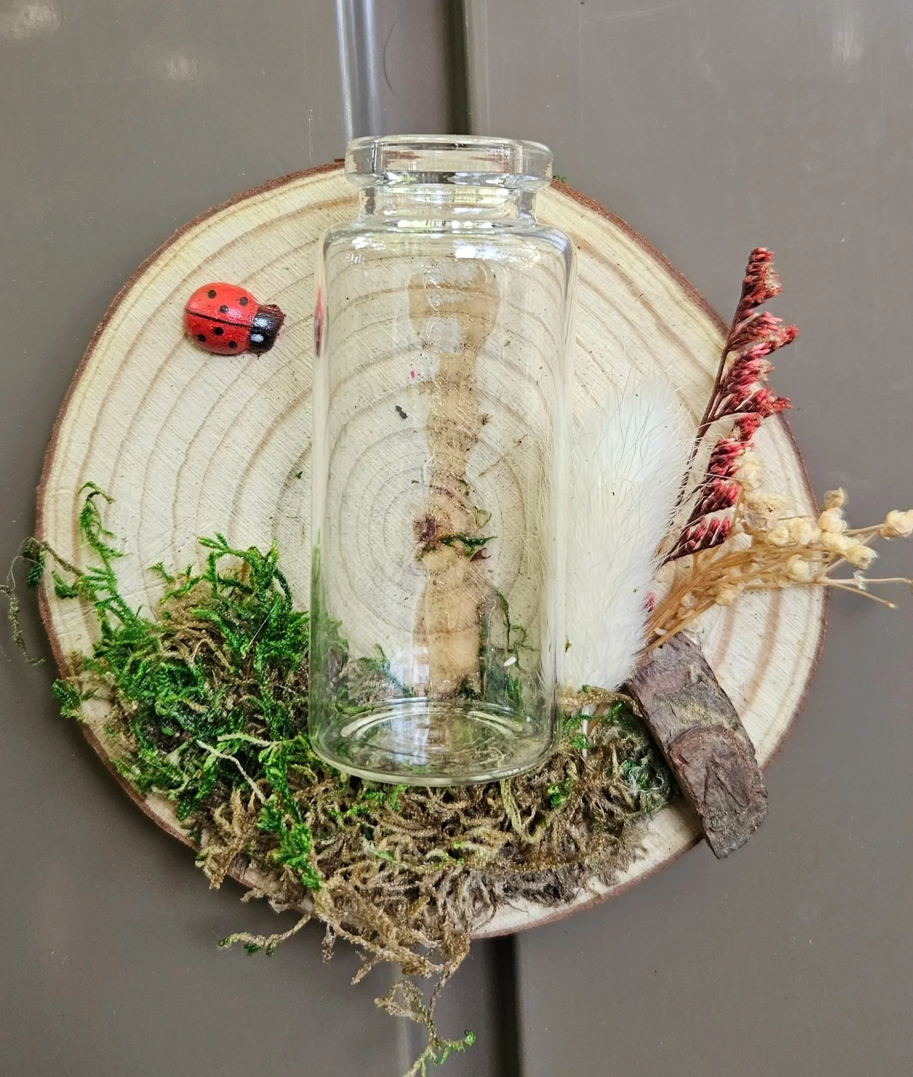 Prop Bottle Magnets