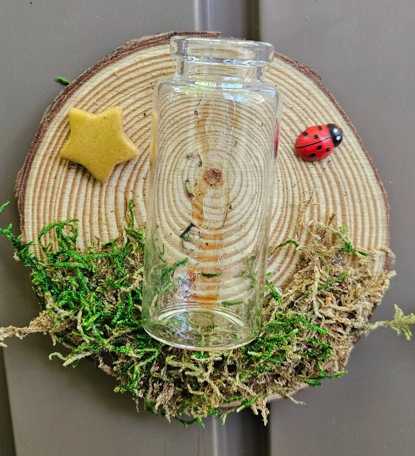 Prop Bottle Magnets