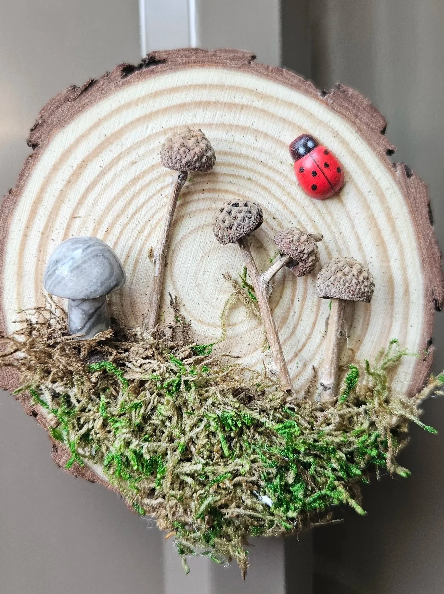 Nature Scene Wood Slice Magnet