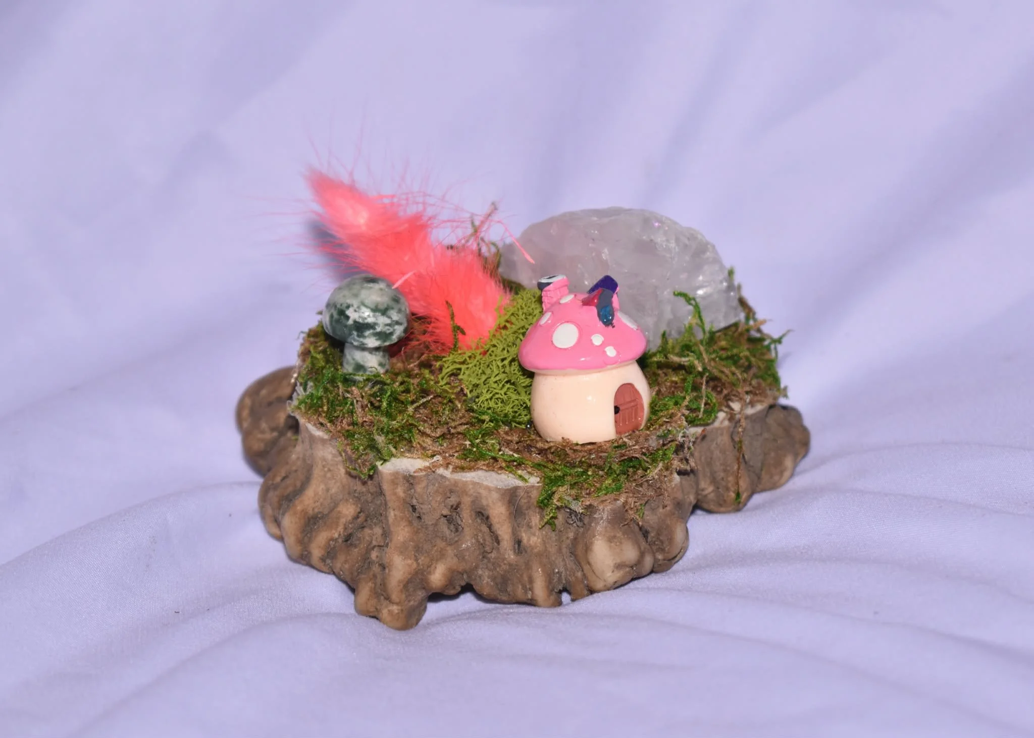 Fairy Garden on Elk Antler Burr