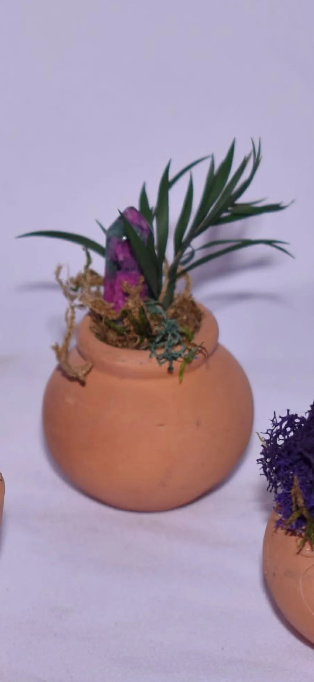 Tiny Terra Cotta Fairy Garden