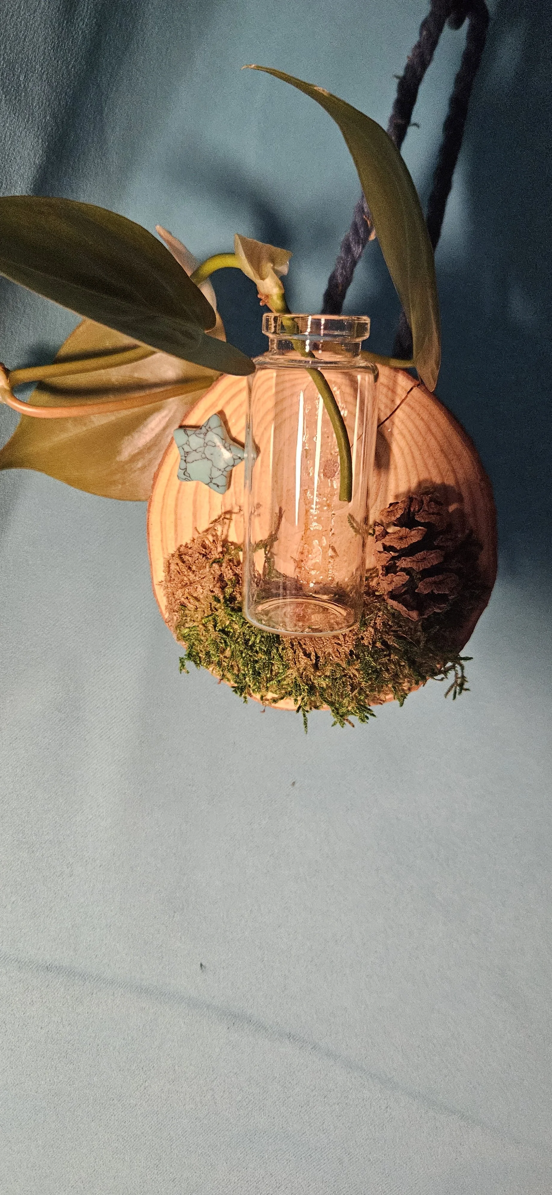 Prop Bottle Hanging Decor