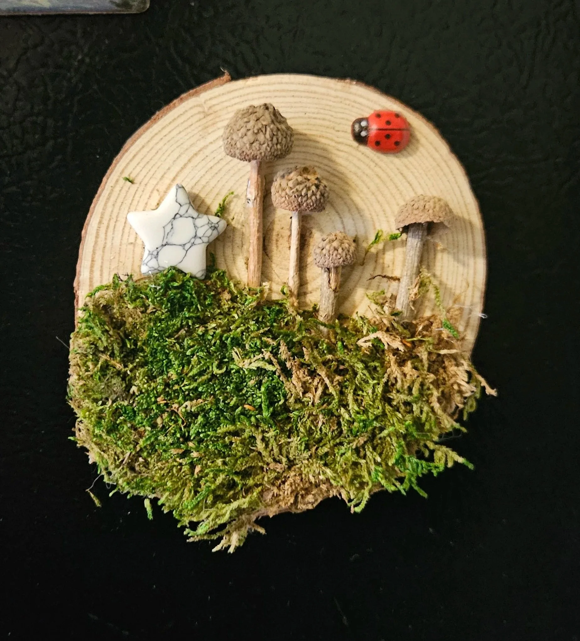 Nature Scene wood slice magnet