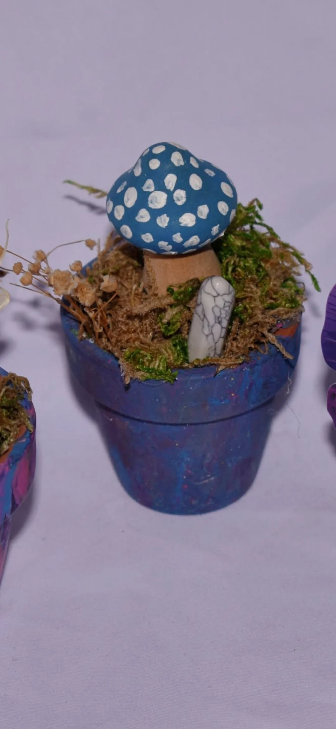 Terra Cotta Pot Fairy Garden