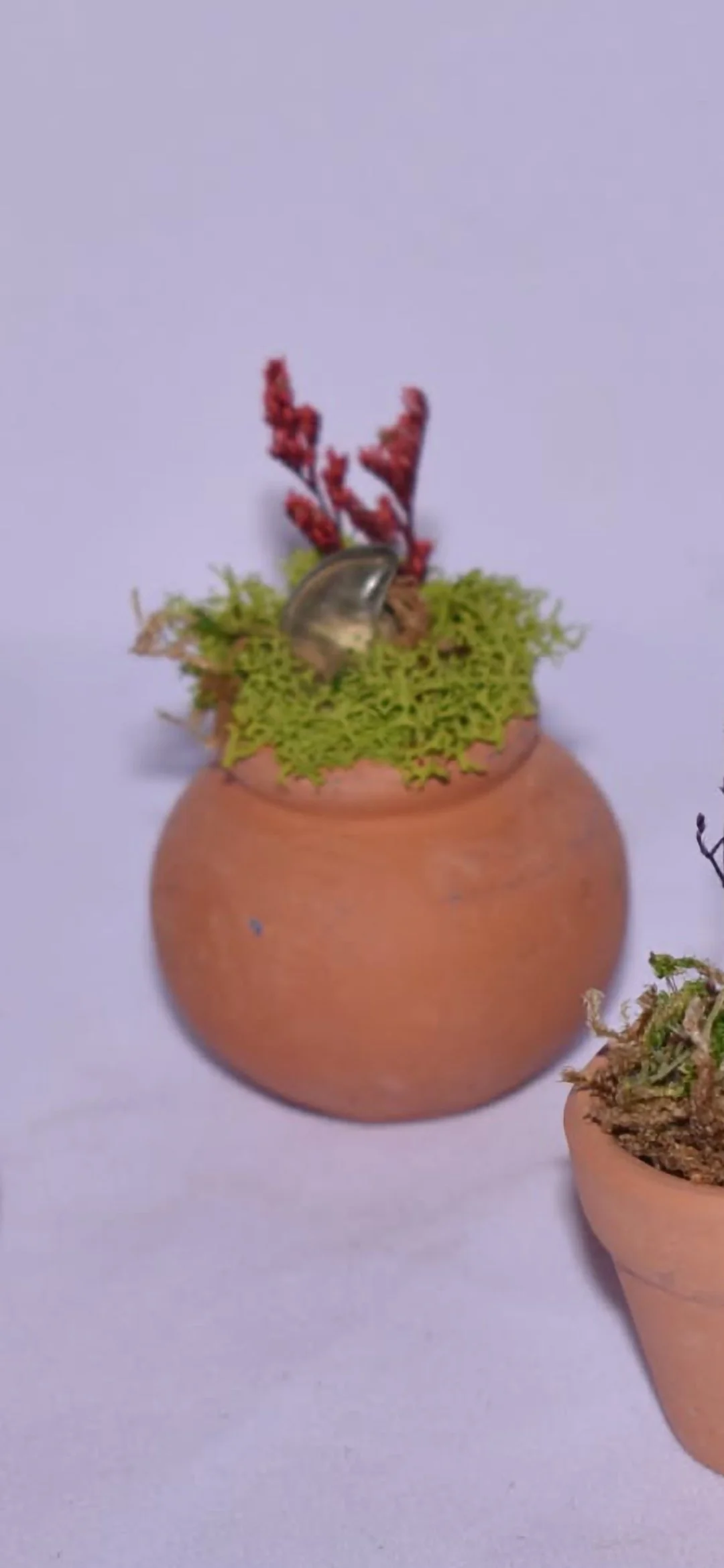 Tiny Terra Cotta Fairy Garden