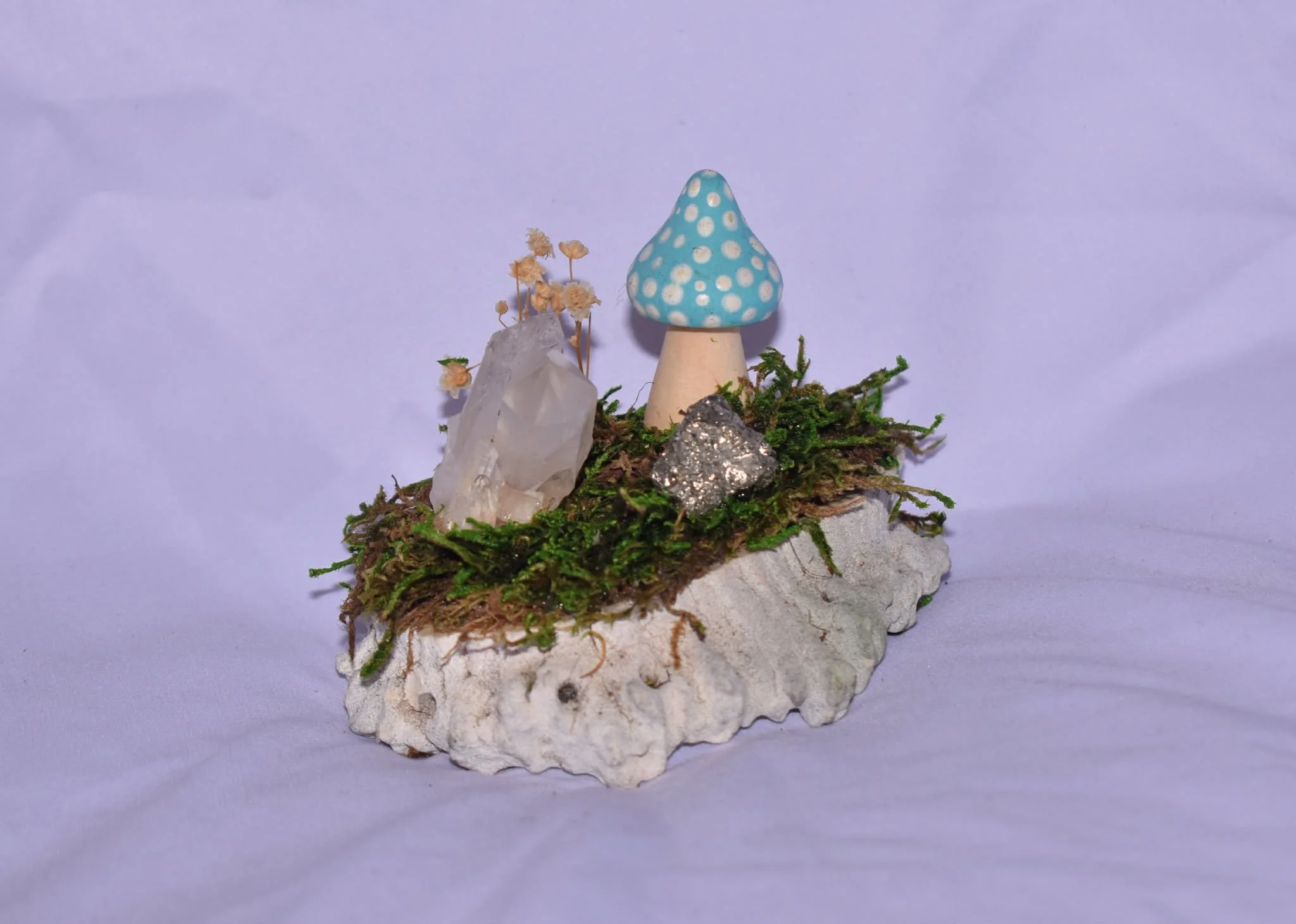 Fairy Garden on Elk Antler Burr