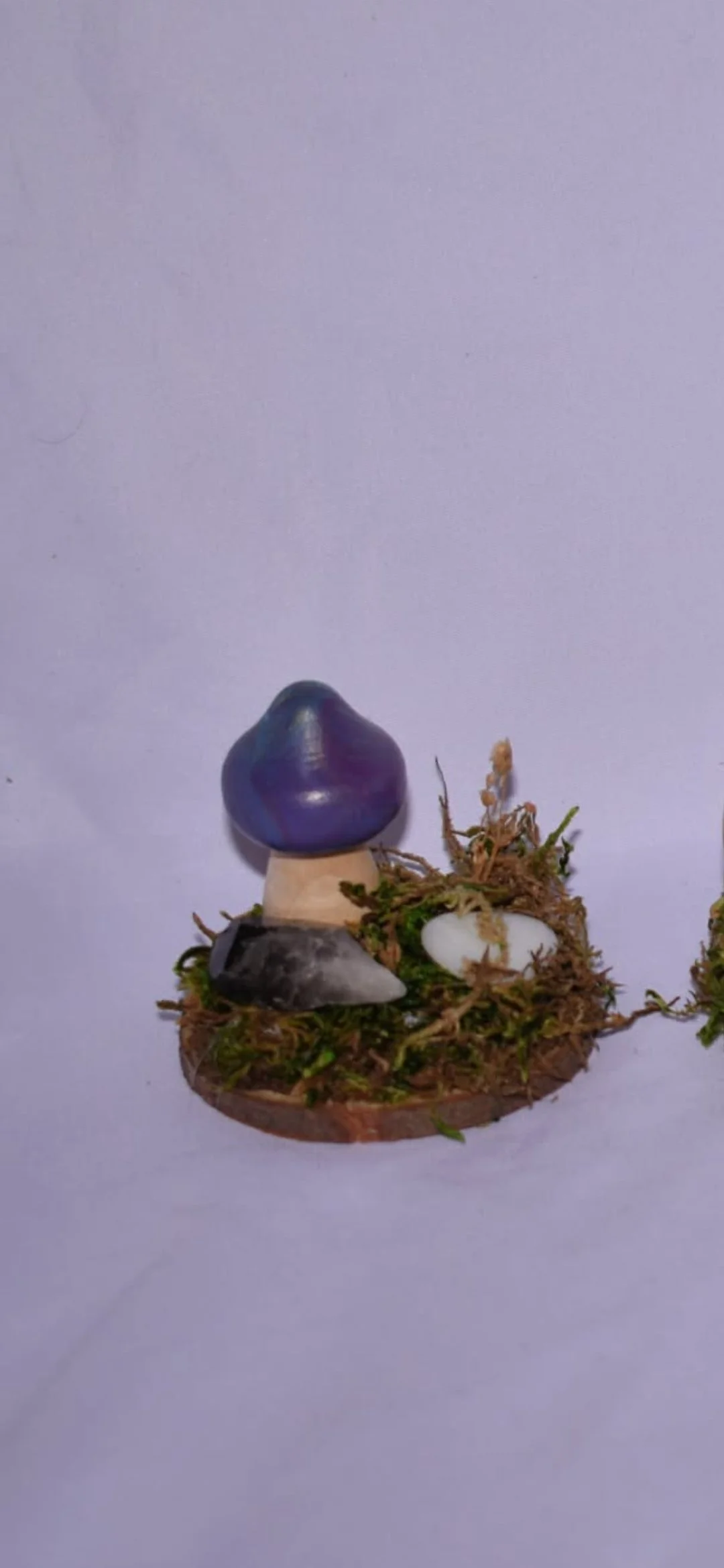 Wood Slice Fairy Garden
