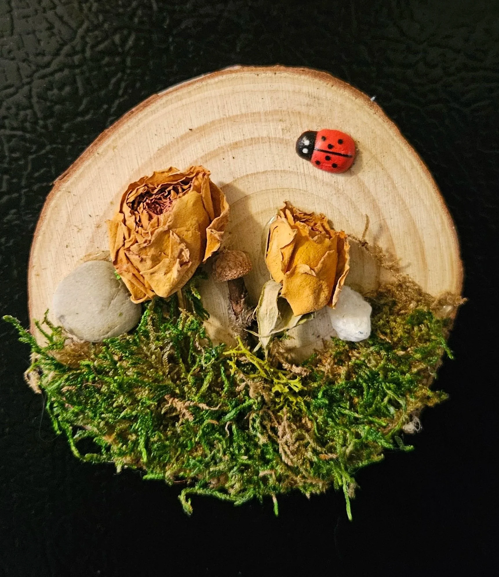Nature Scene Wood Slice Magnet