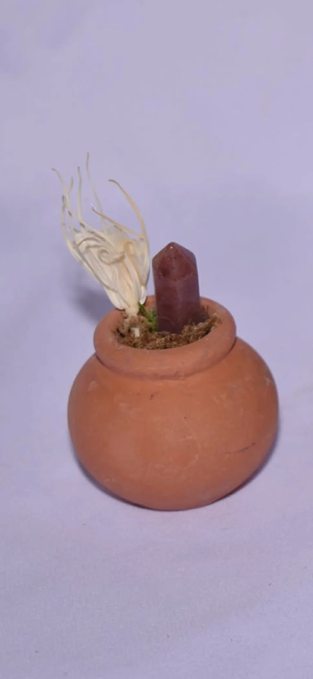 Tiny Terra Cotta Fairy Garden