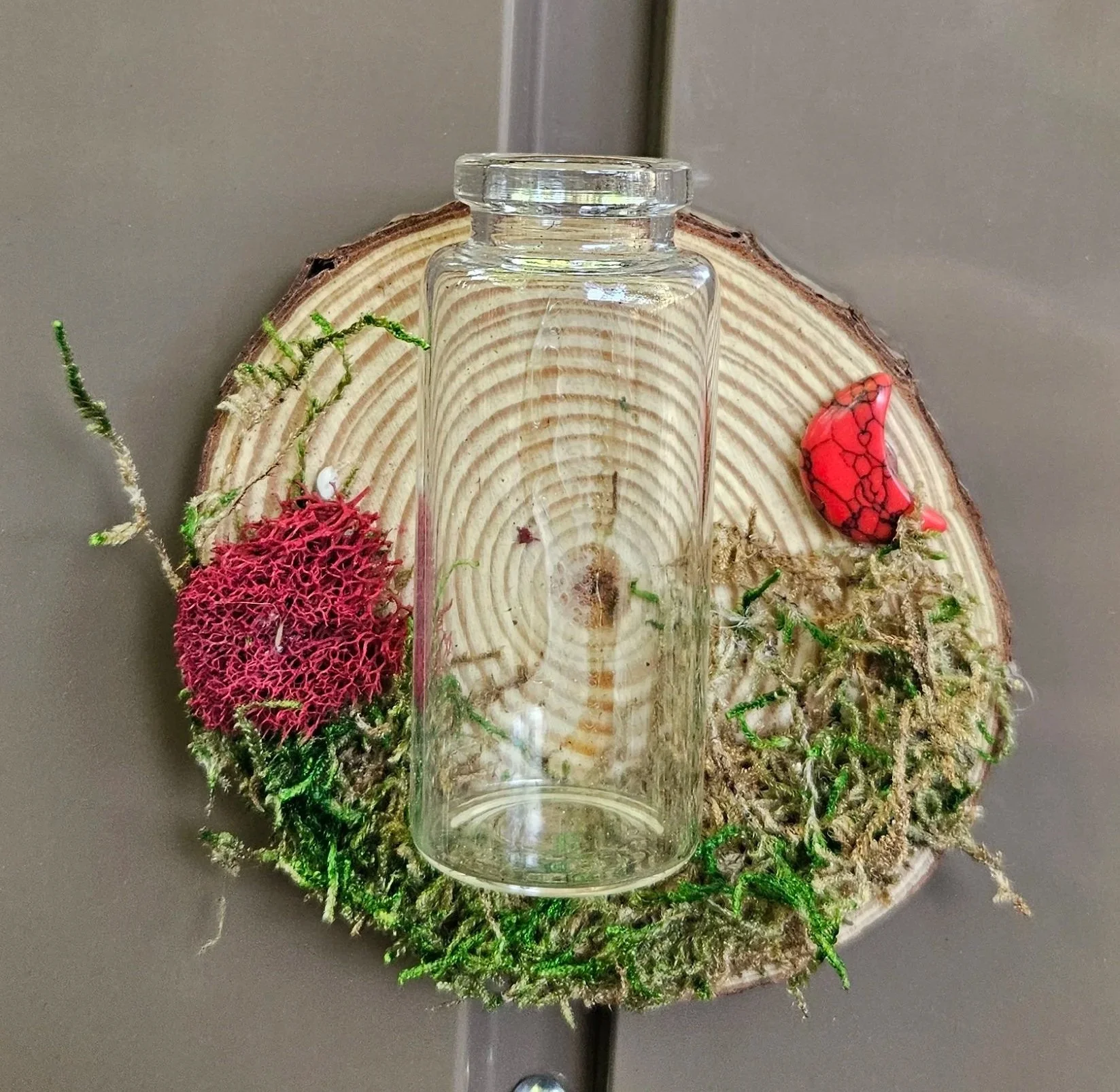 Prop Bottle Magnets