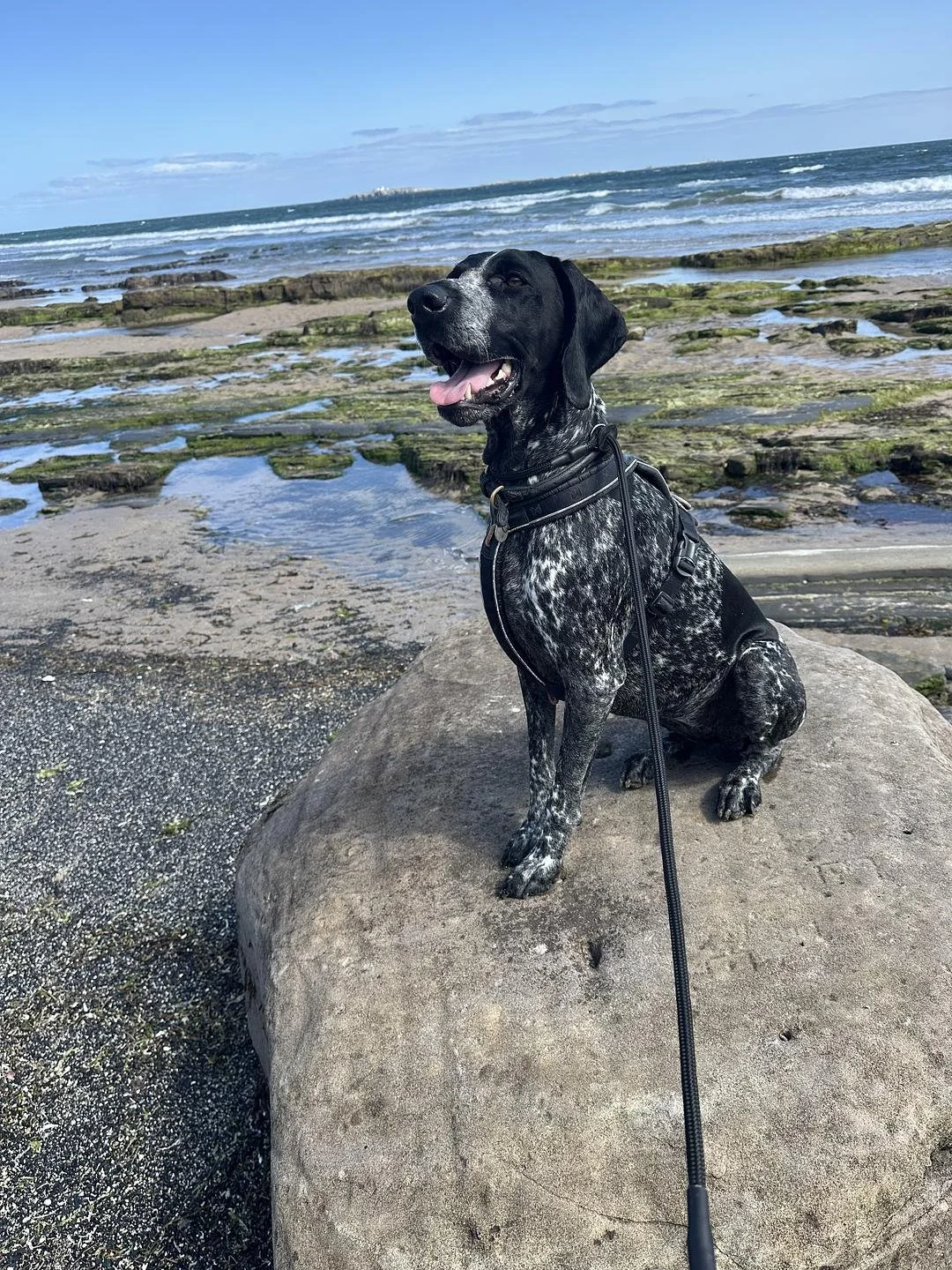 Ivy &amp; Aimee Overcome The Complexity of Visitors