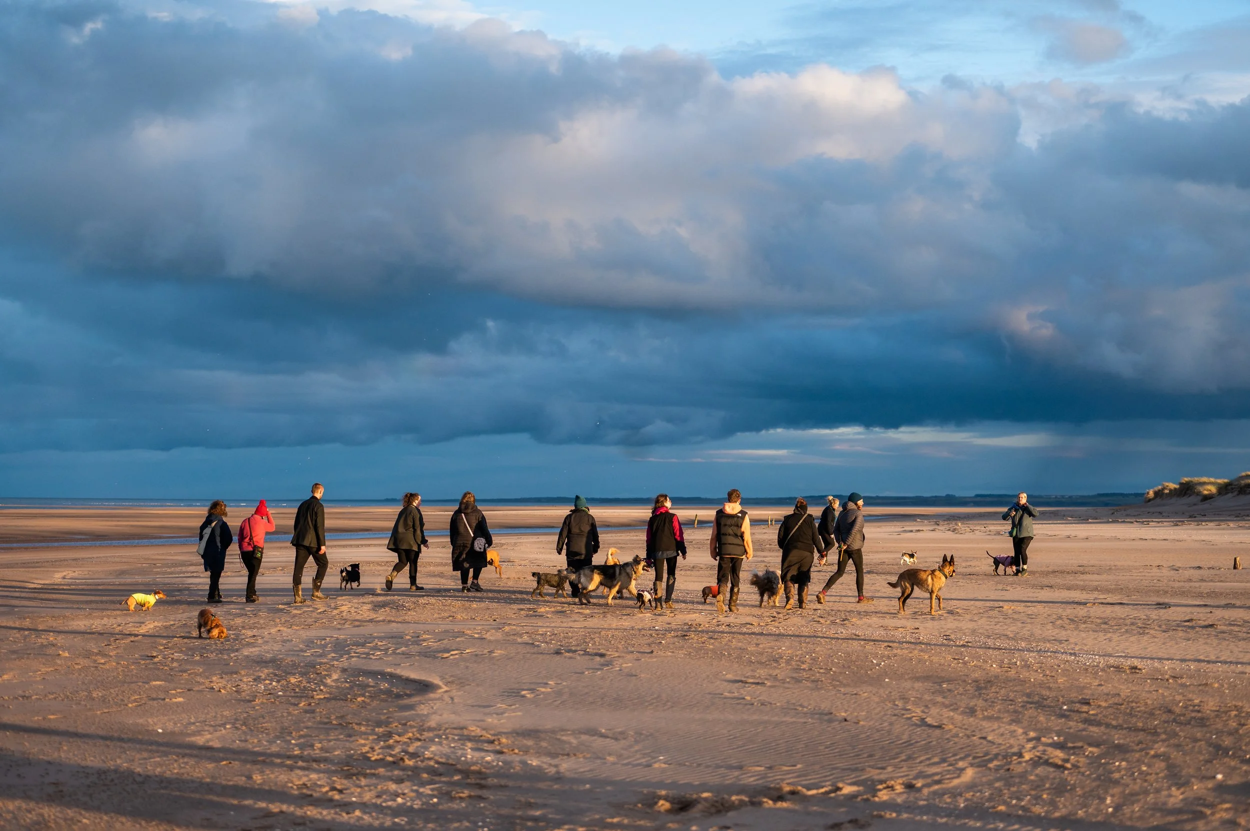 What To Expect From An Honest Hounds Retreat