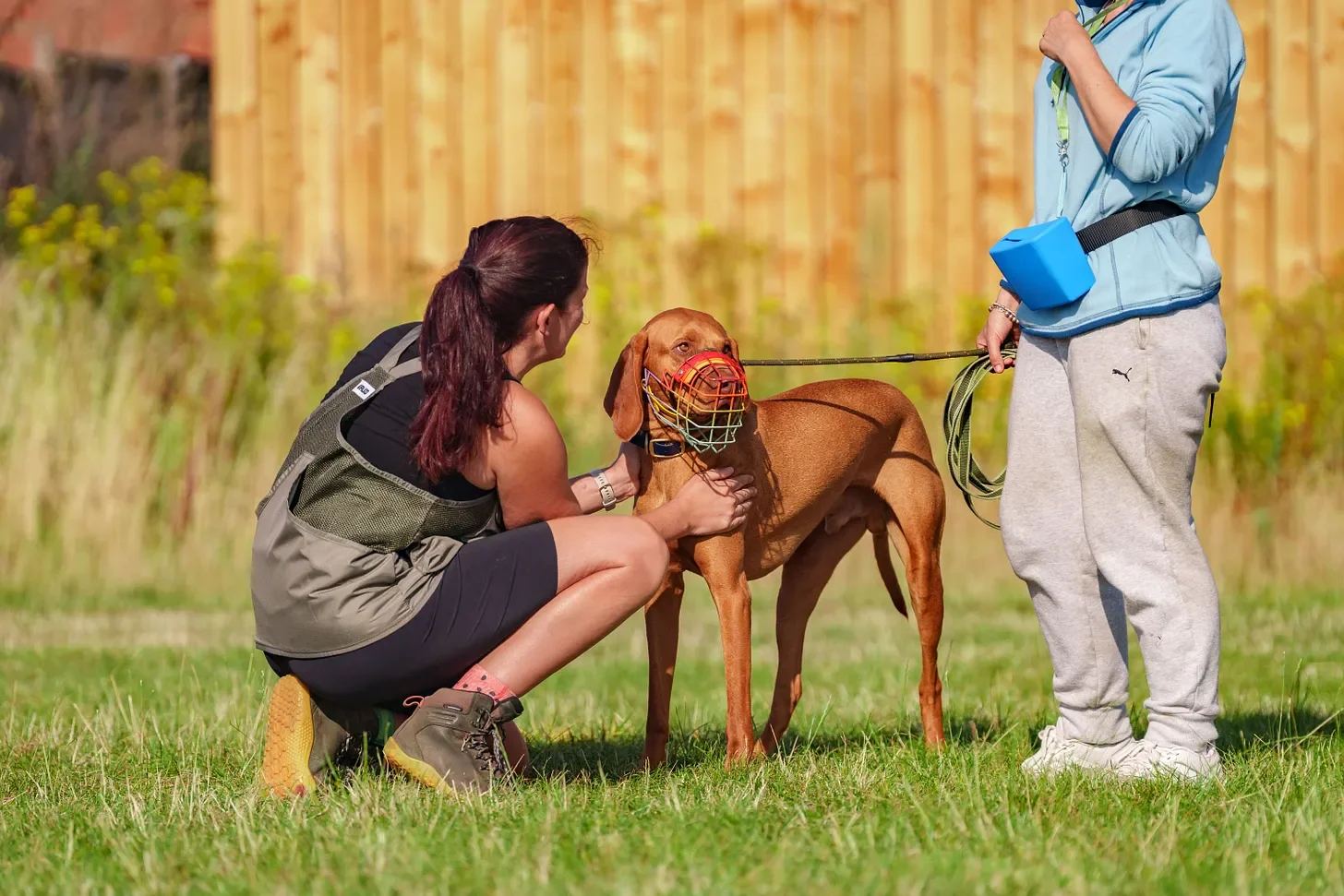 What If My Dog Behaves For You… But Not For Me?