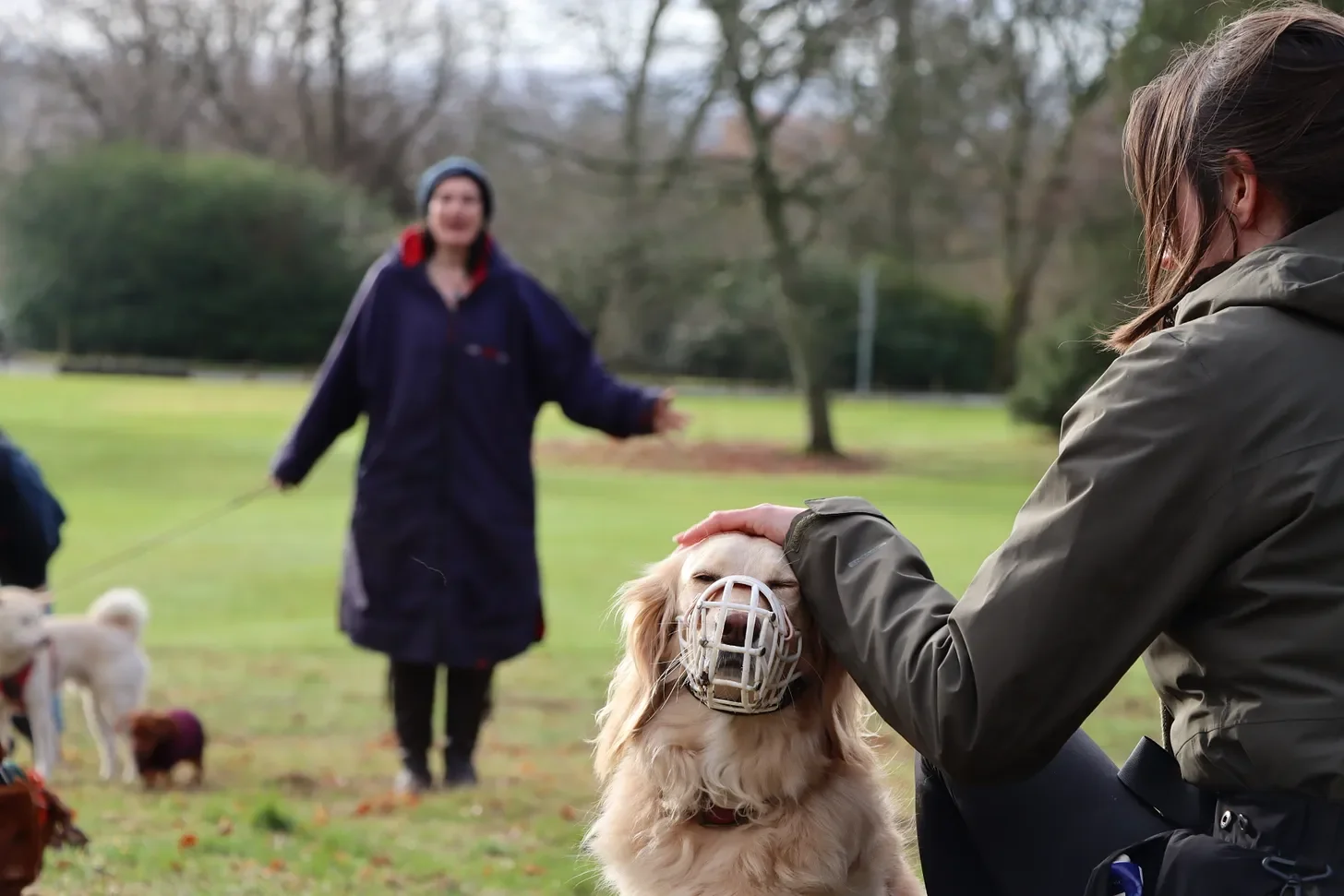 Your Dog Can’t Handle Being Your Therapy Dog