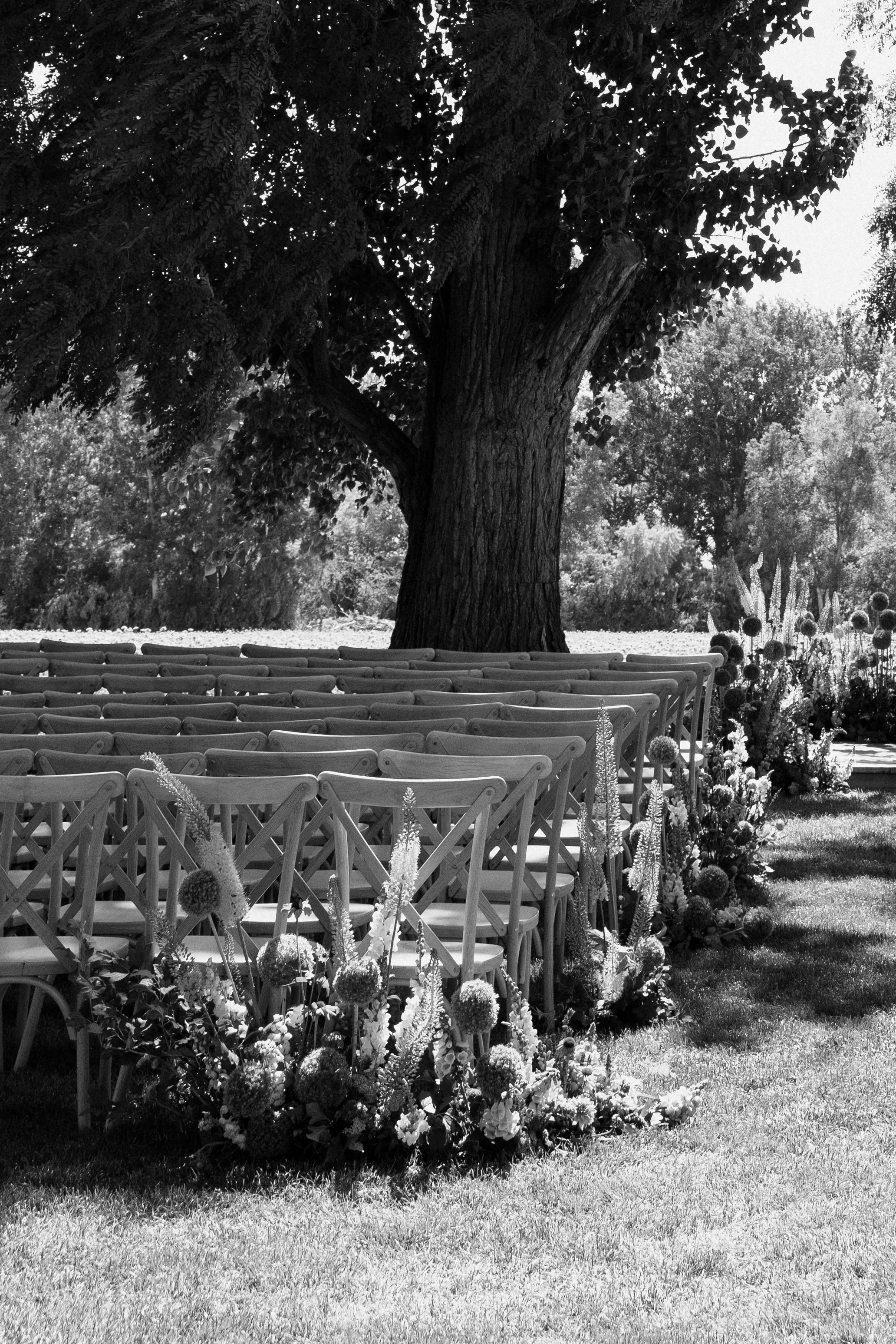 KORTNEYJPHOTO-253.jpg