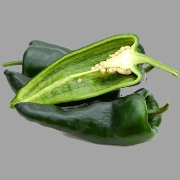 chile poblano_fondogris.jpg