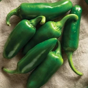 chile jalapeño 013.jpg