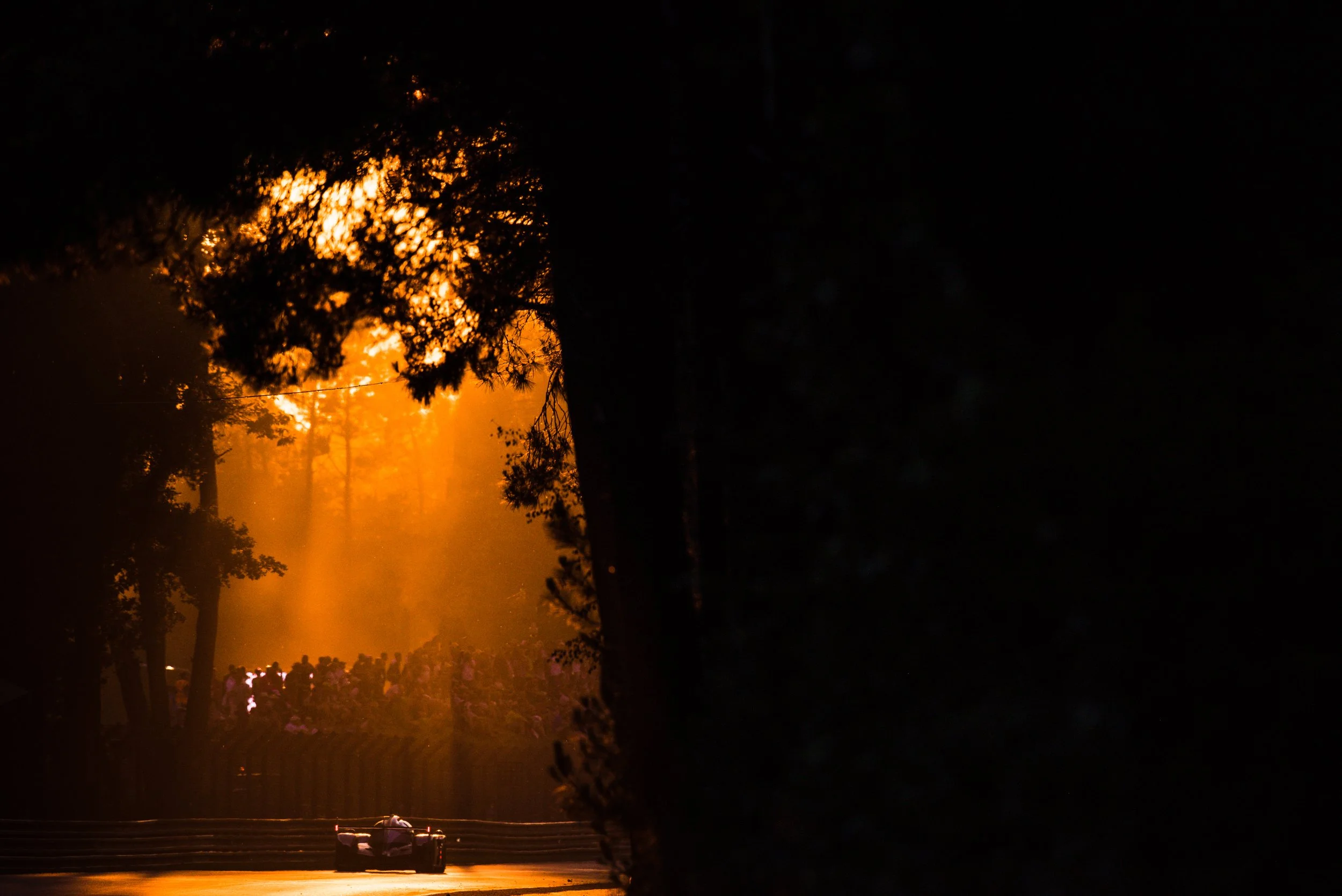 23ONE Creative, 23ONE Photography, 23ONE Derbyshire, Professional Photographer Derbyshire, UK Photography Studio, Global Photography Services, Derbyshire Photographers, Creative Photography UK, International Photography Company, Professional Photogra