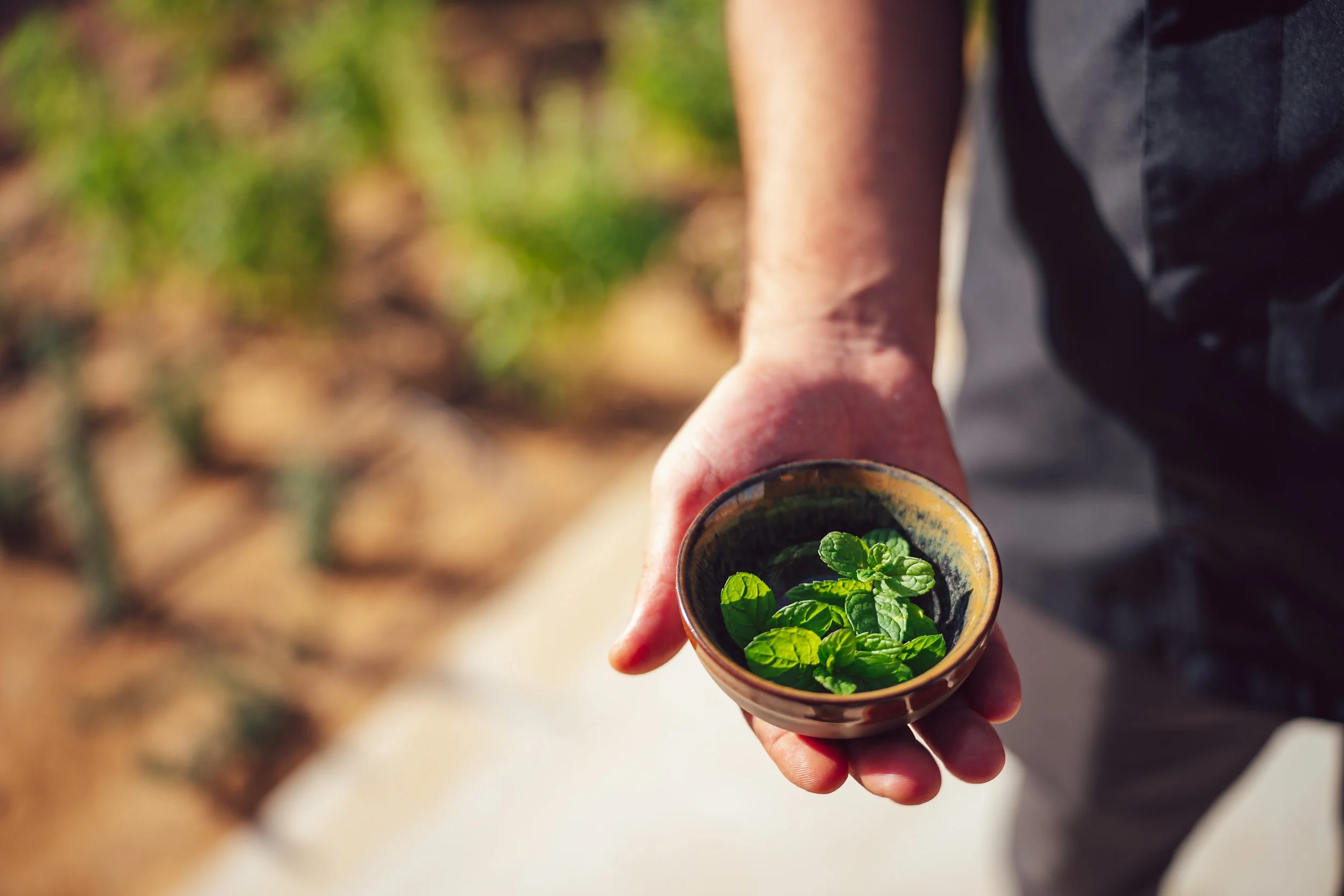 23ONE Creative, 23ONE Photography, 23ONE Derbyshire, Professional Photographer Derbyshire, UK Photography Studio, Global Photography Services, Derbyshire Photographers, Creative Photography UK, International Photography Company, Professional Photogra