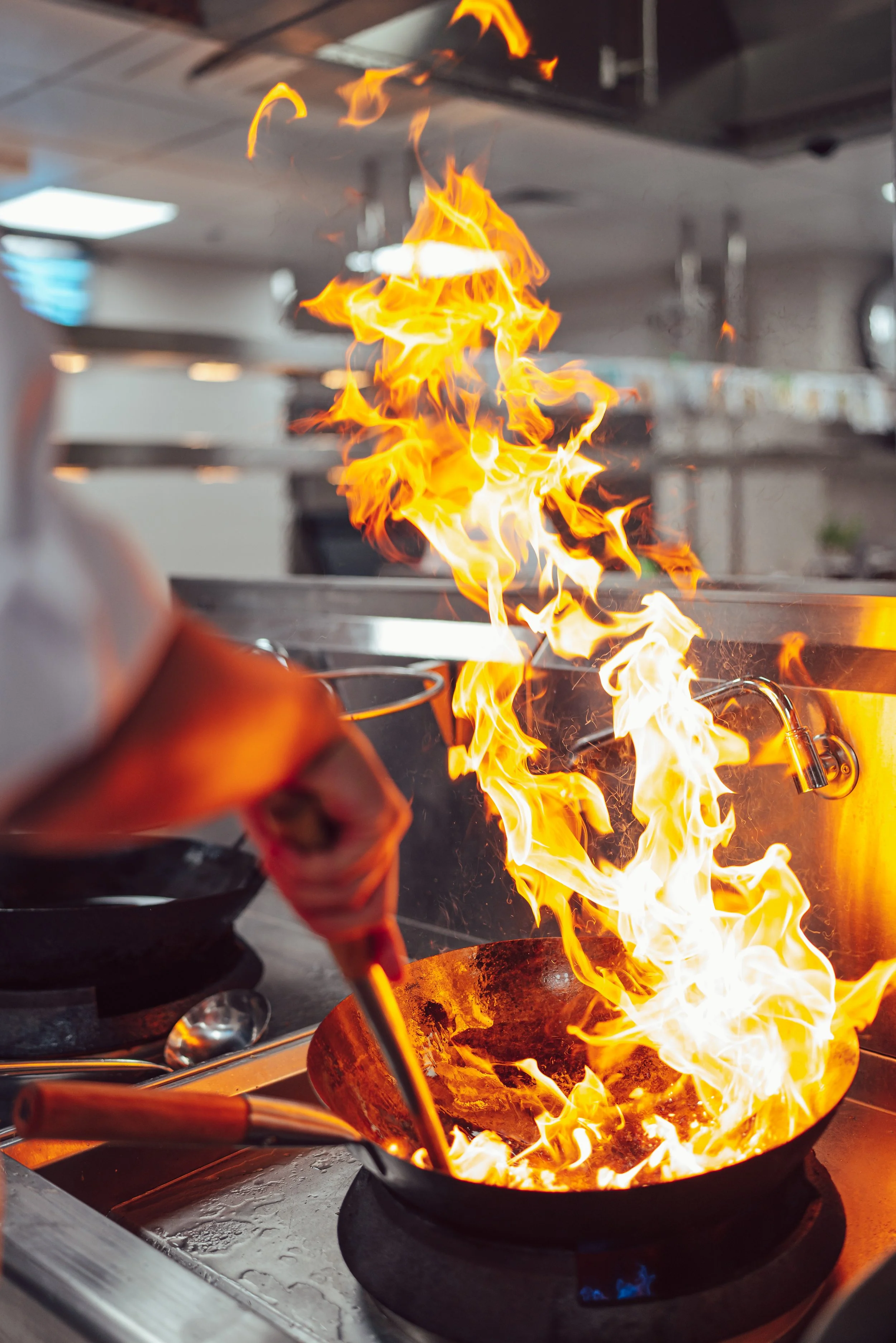 23ONE Creative, 23ONE Photography, 23ONE Derbyshire, Professional Photographer Derbyshire, UK Photography Studio, Global Photography Services, Derbyshire Photographers, Creative Photography UK, International Photography Company, Professional Photogra