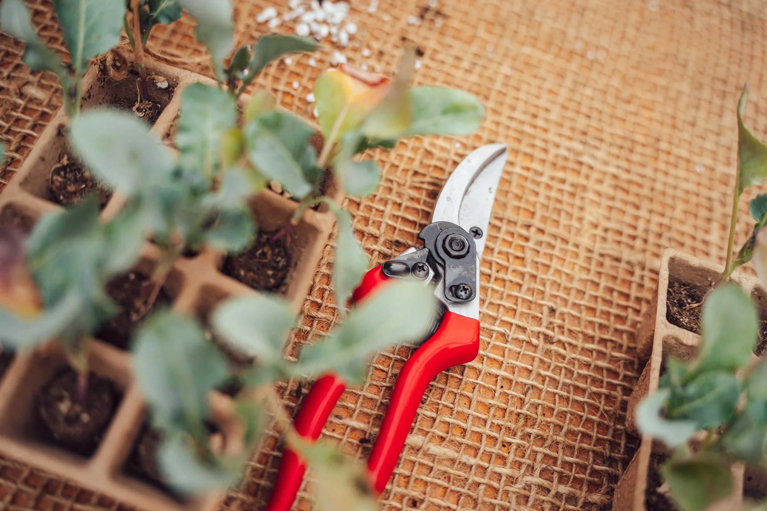 23ONE Creative, 23ONE Photography, 23ONE Derbyshire, Professional Photographer Derbyshire, UK Photography Studio, Global Photography Services, Derbyshire Photographers, Creative Photography UK, International Photography Company, Professional Photogra