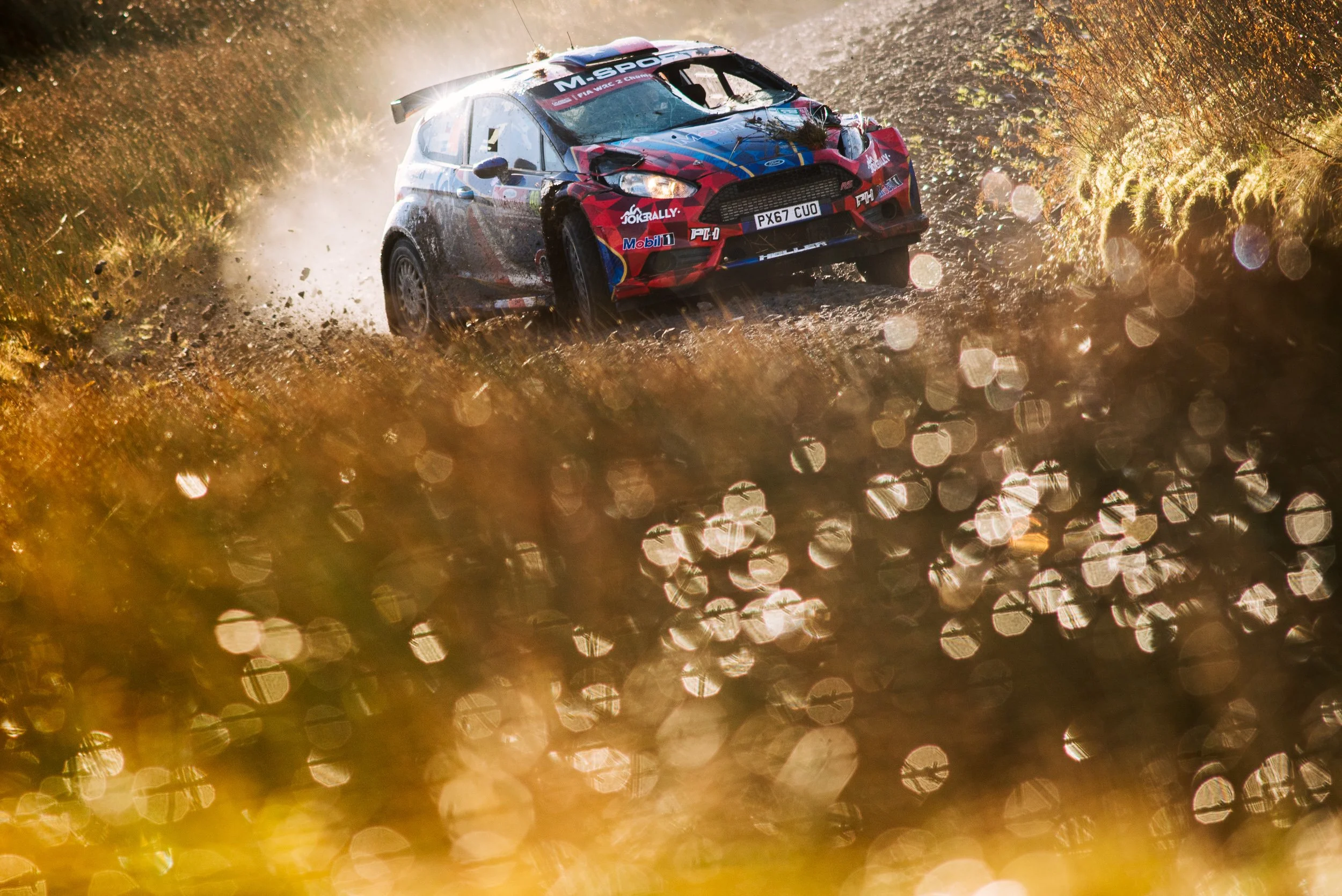 23ONE Photography, 23ONE Derbyshire, Professional Photographer Derbyshire, UK Photography Studio, Global Photography Services, Derbyshire Photographers, Creative Photography UK, International Photography Company, Professional Photography Packages UK,