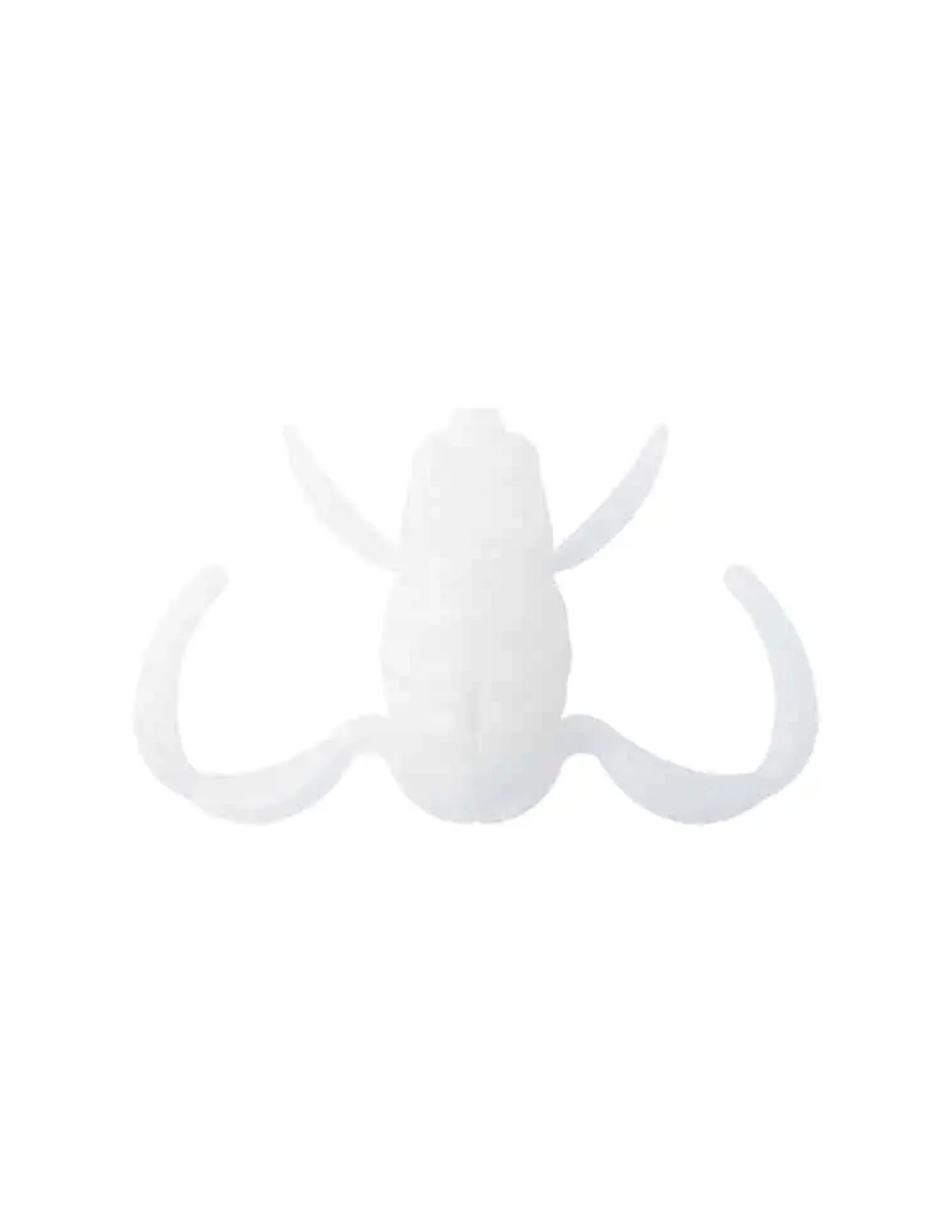 JPEG scooperfrog_e001-1.jpg