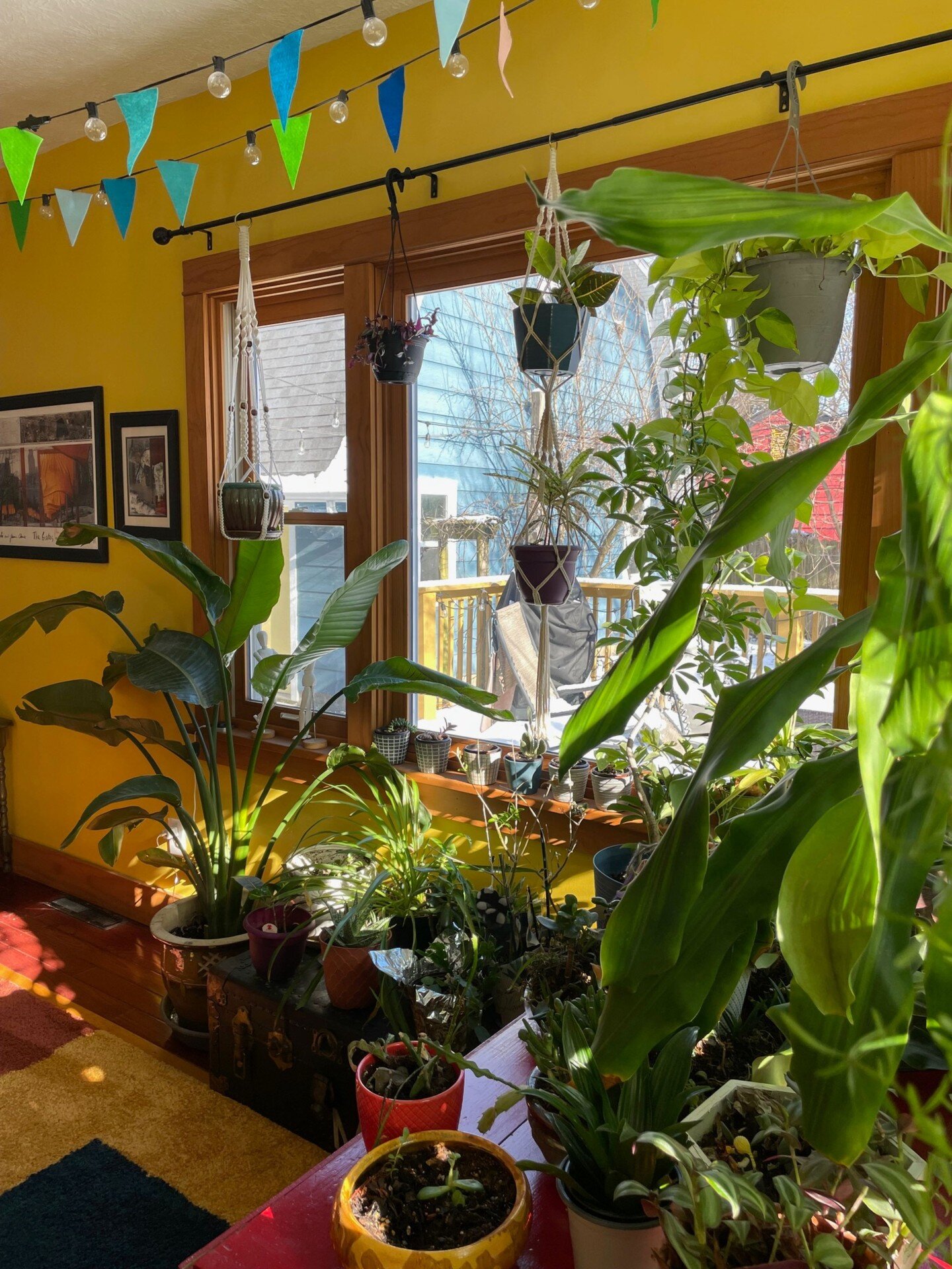 Brrr it's chilly out there. 

Wanna escape your Ohio winter blues on an in-state budget?

Check out Blue Dream located in Yellow Springs. This 2100 sq ft house comfortably sleeps 8 and is filled with tropical plants and all things to keep you cozy du