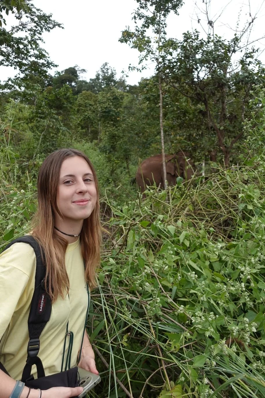 Rediscovering Life in the Heart of the Mountains