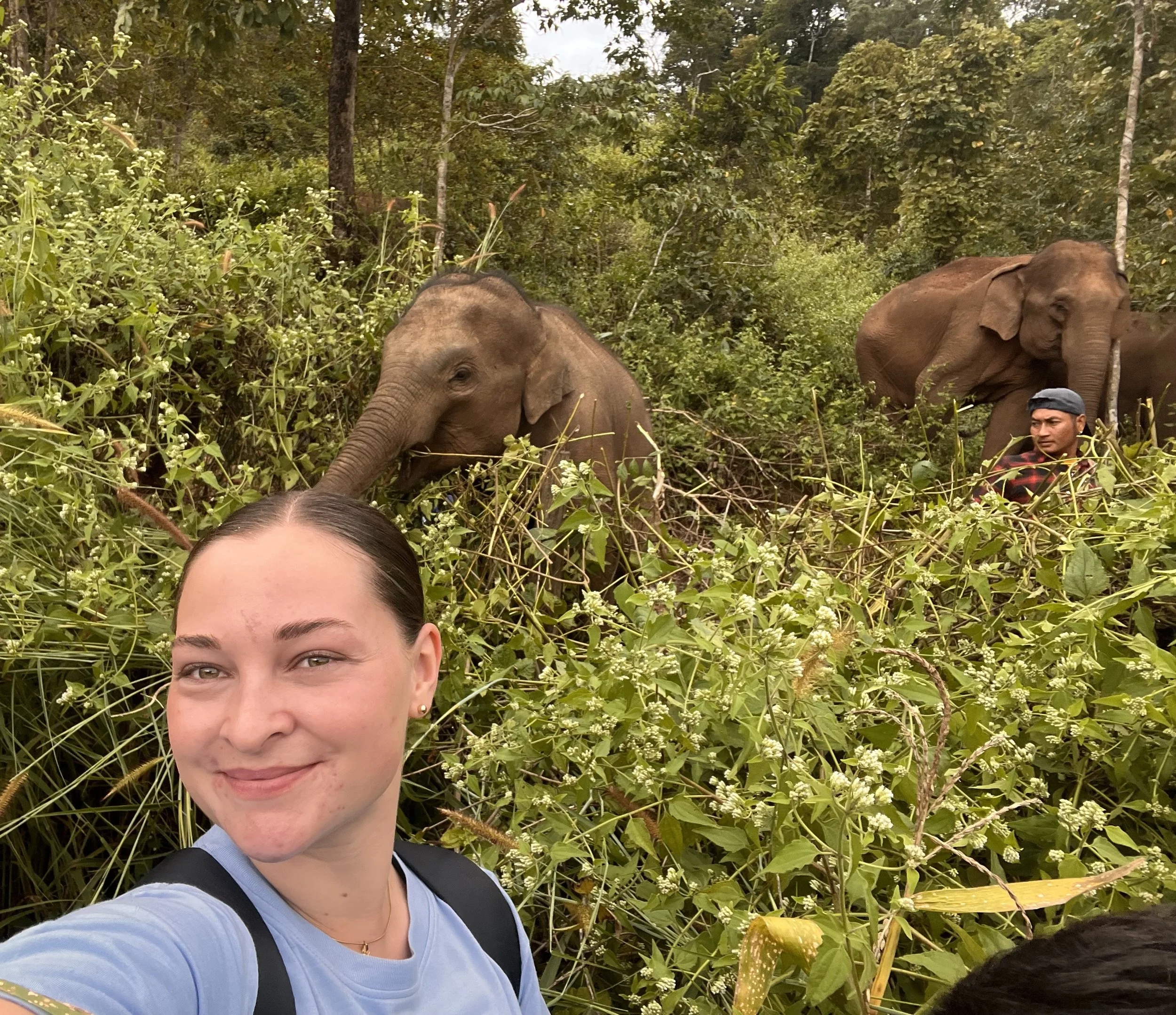 Dear Diary, Today a Dream Came True