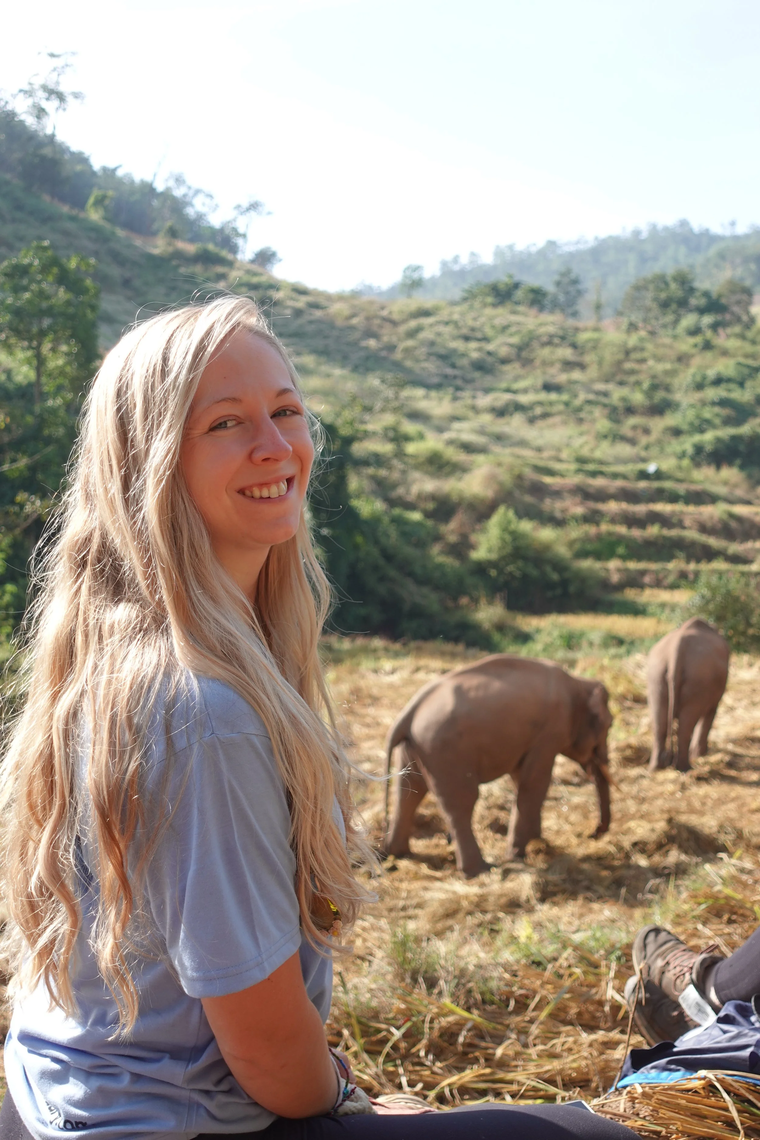 A Heart Full of Elephants and Gratitude