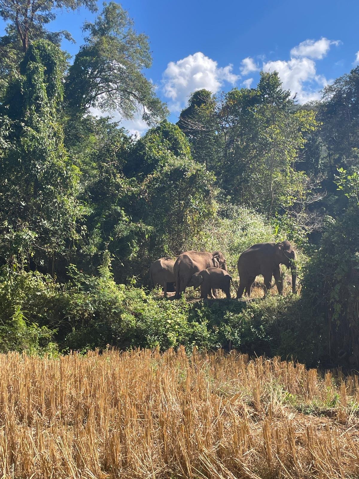 An unforgettable journey