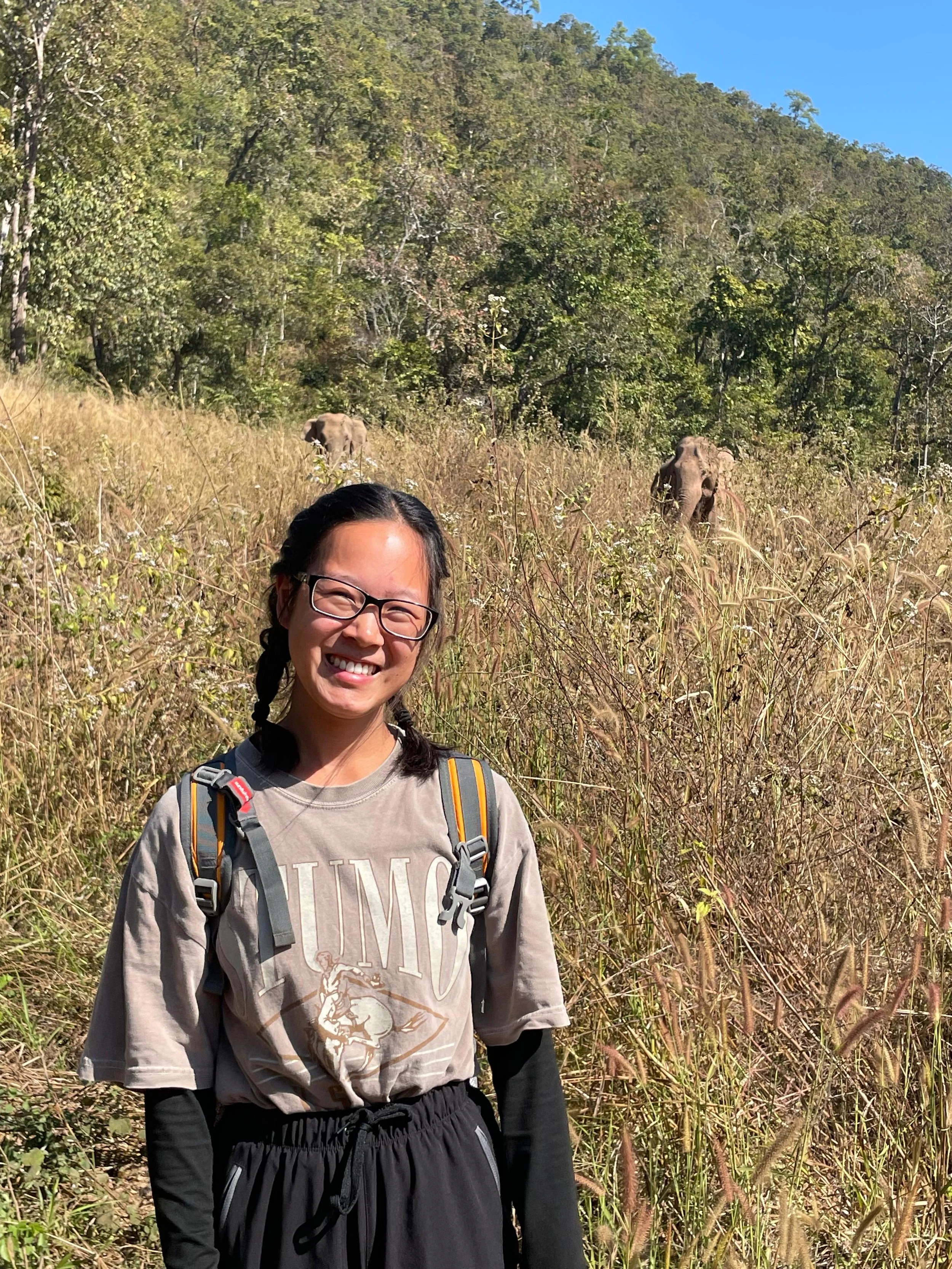 From Dream to Reality